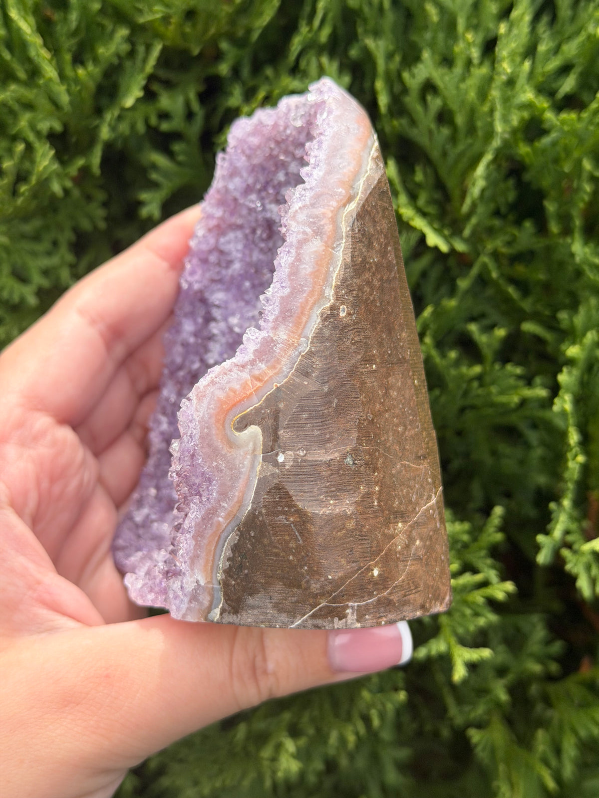 Rainbow Amethyst Cut Base