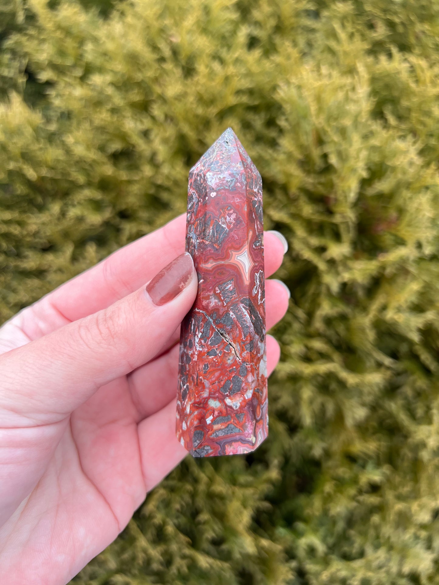 Mexico Lace Agate Point