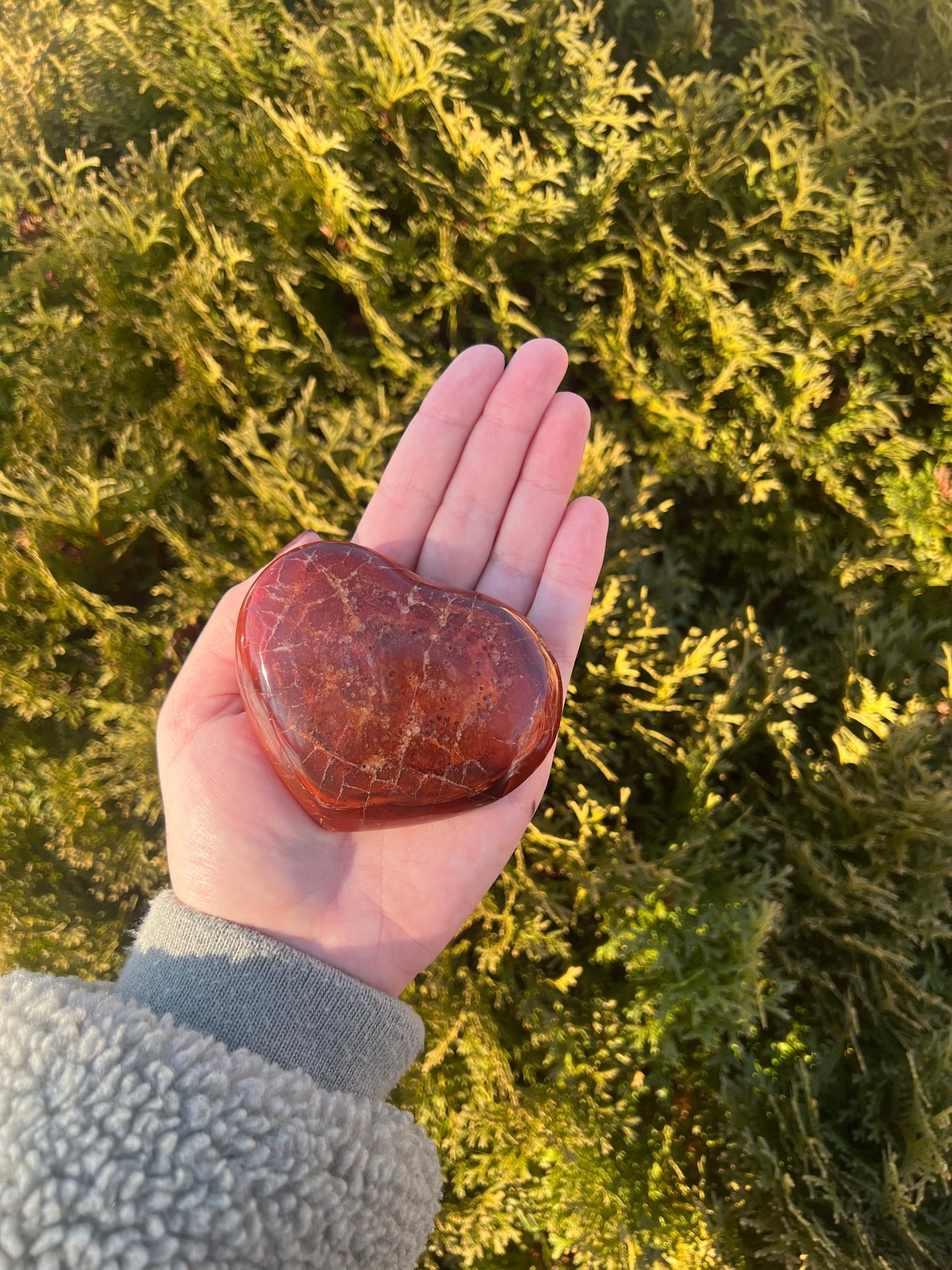 Carnelian Heart #1