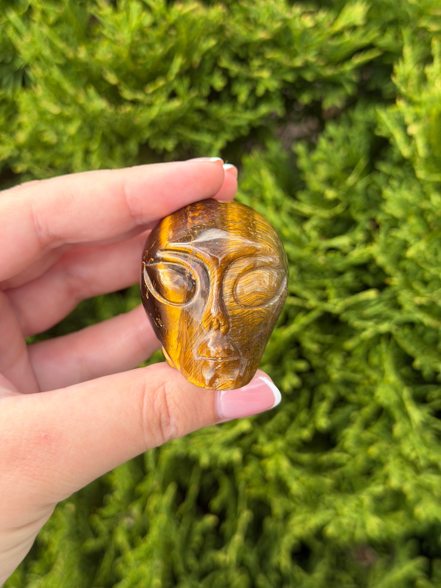 Tiger’s Eye Alien Head