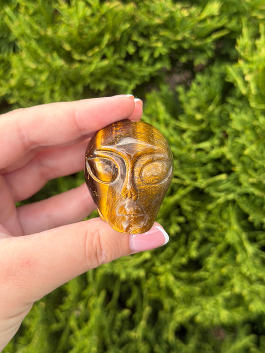 Tiger’s Eye Alien Head