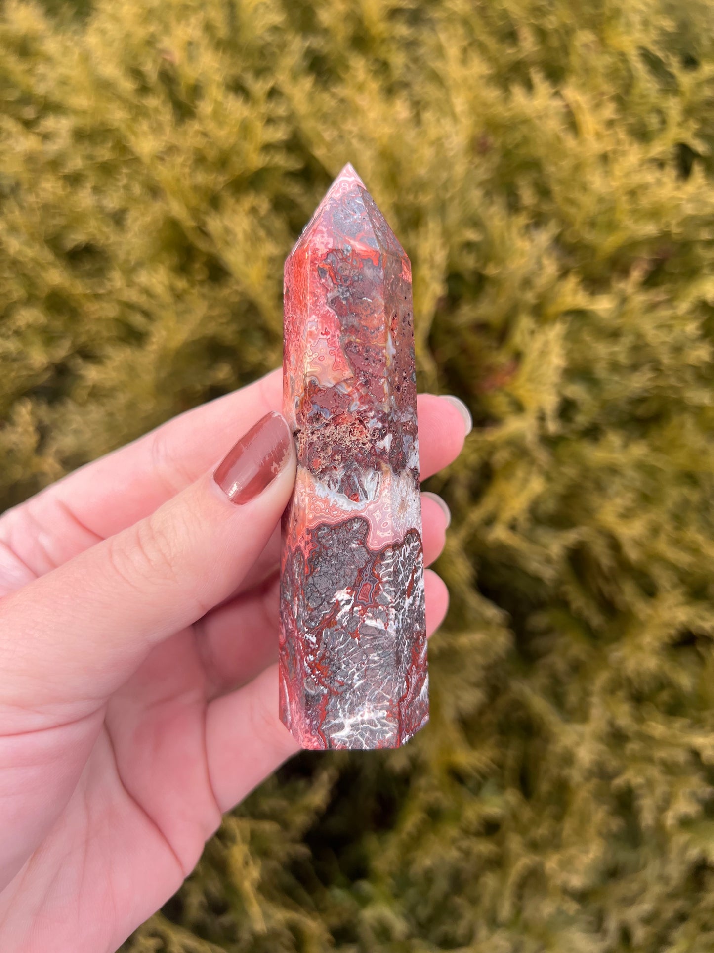 Mexico Lace Agate Point