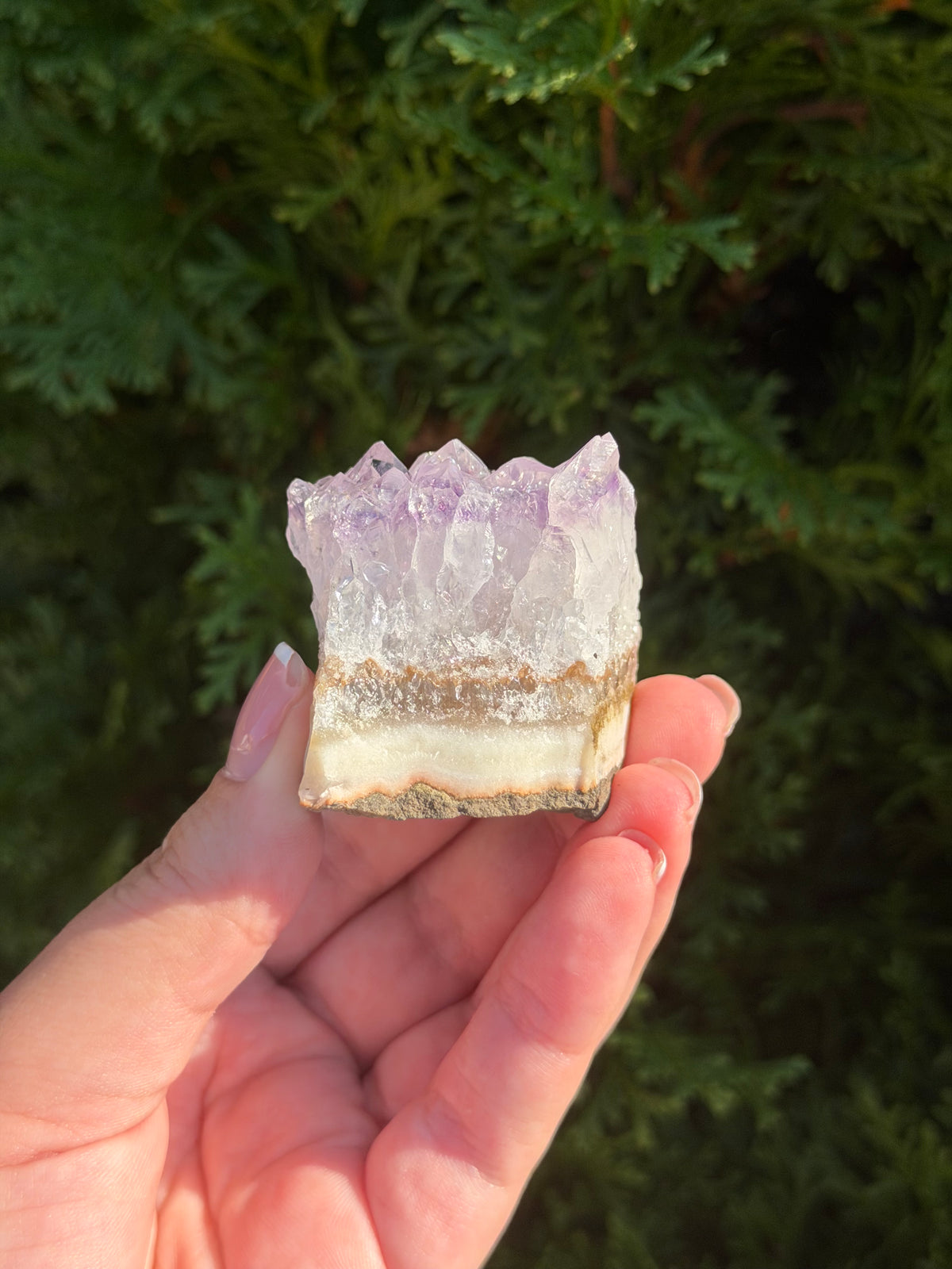 Raw Amethyst Cluster