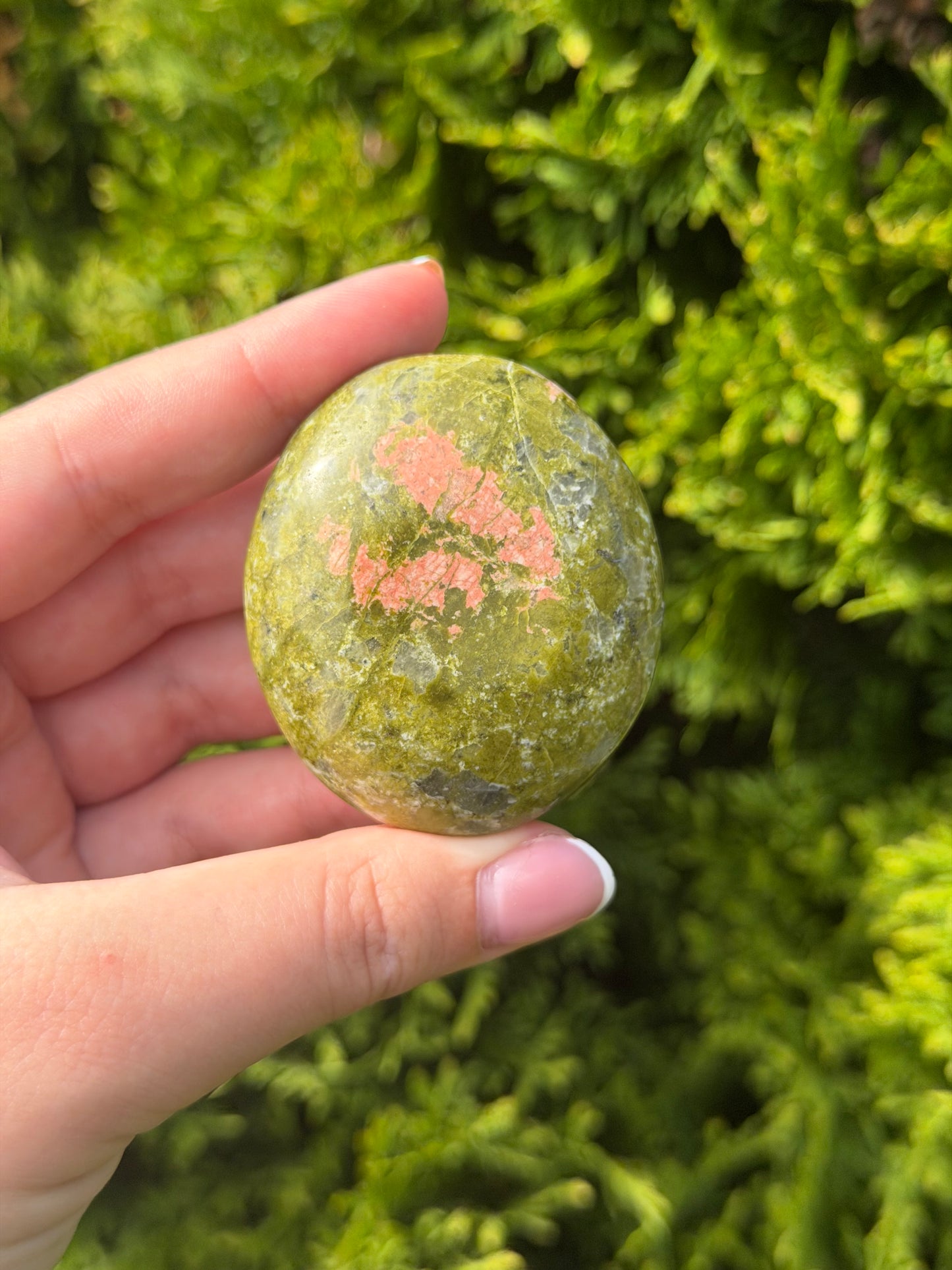 Unakite Palm Stone