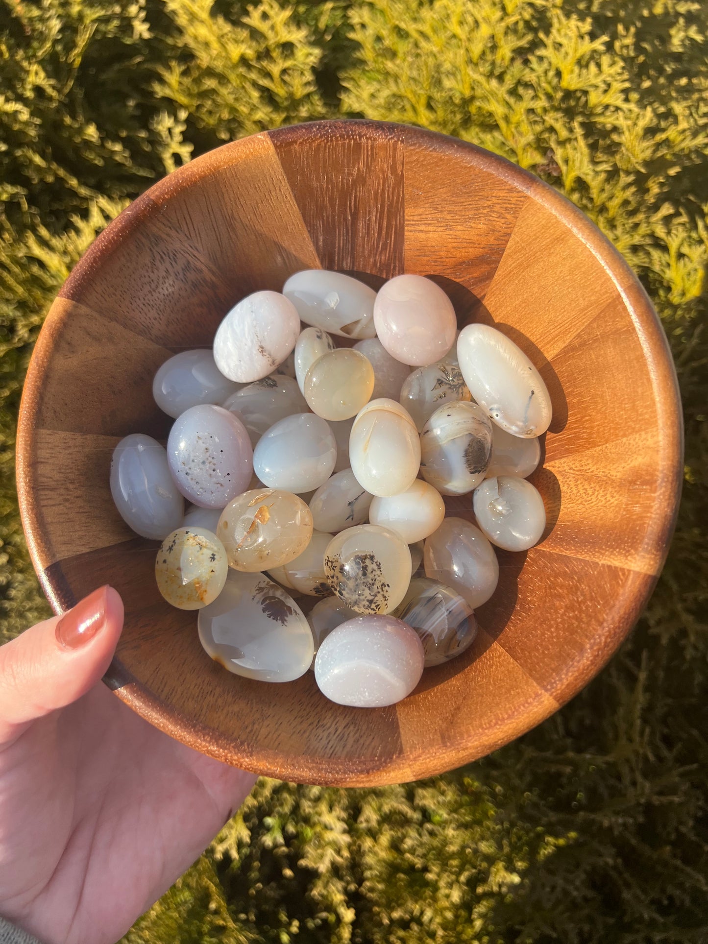 Dendritic Agate Tumbled Stone