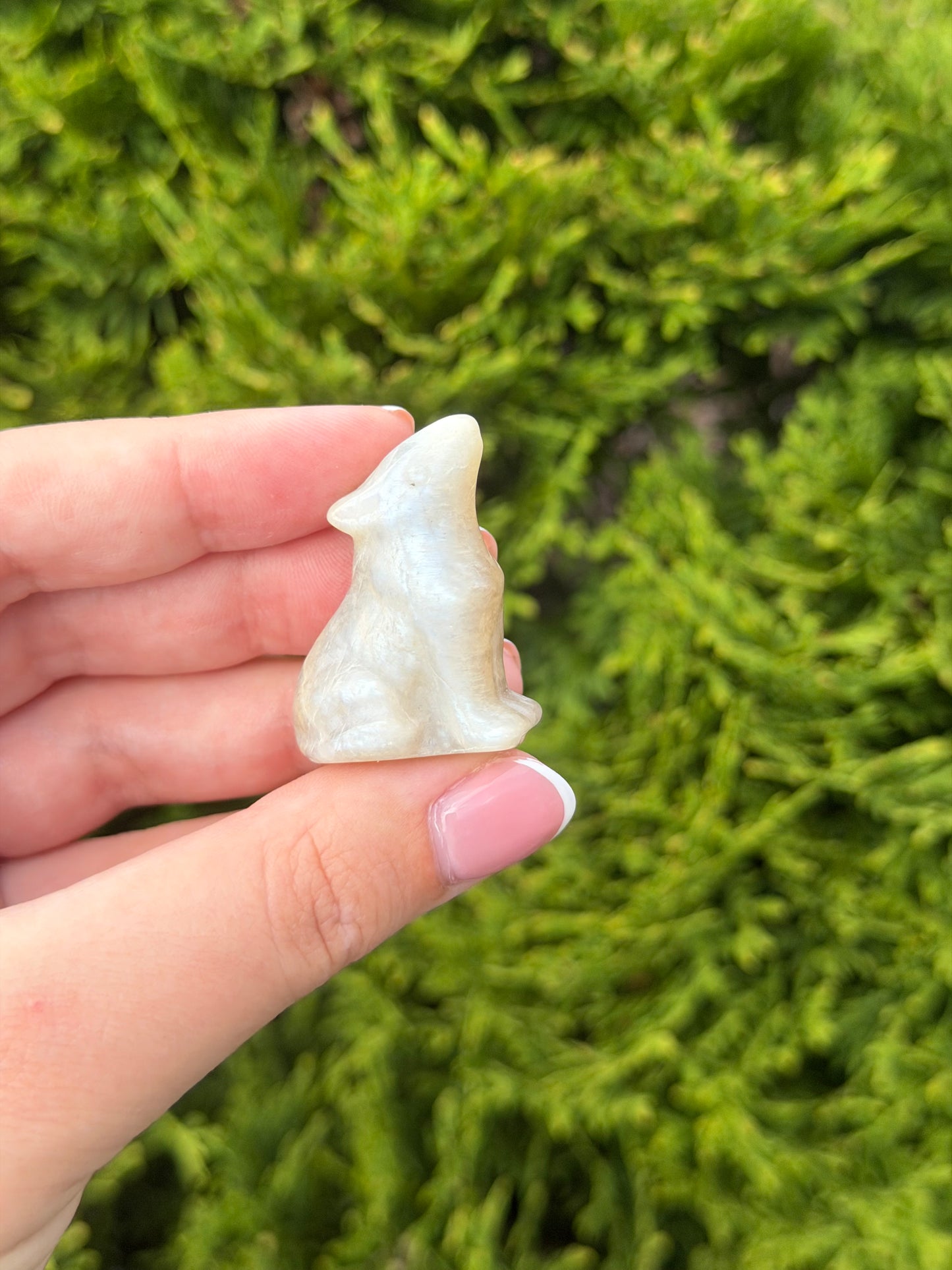 Moonstone Wolf 2