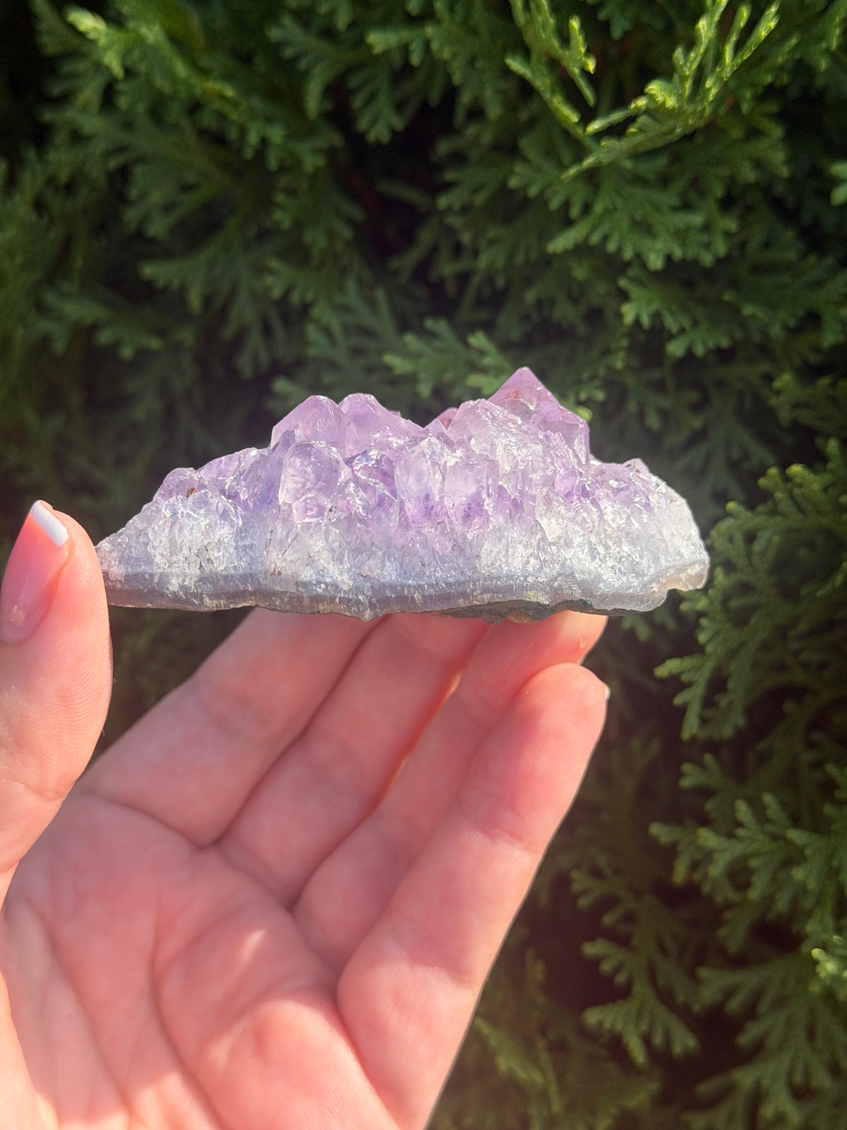 Raw Amethyst Cluster