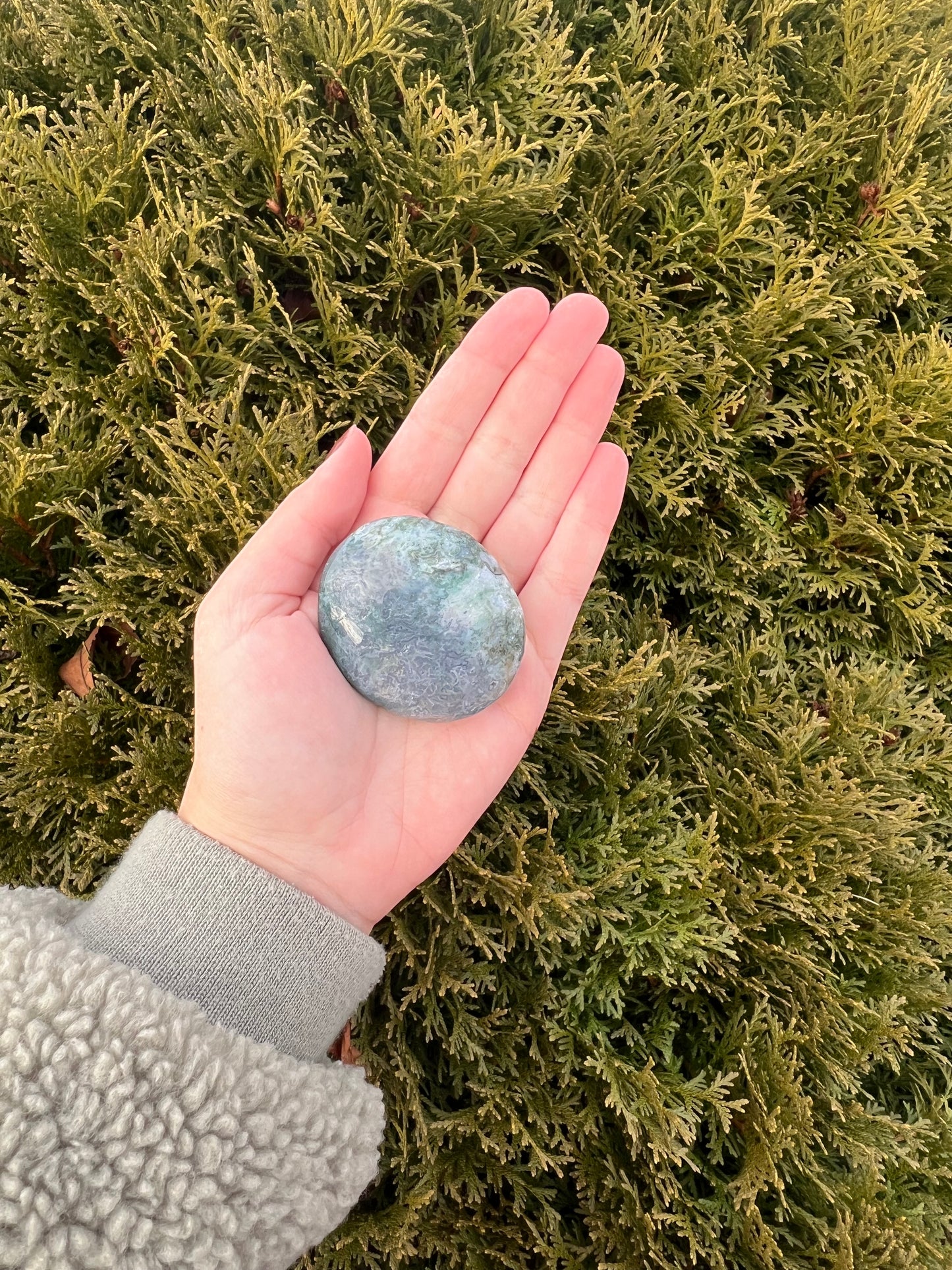 Moss Agate Palm Stone