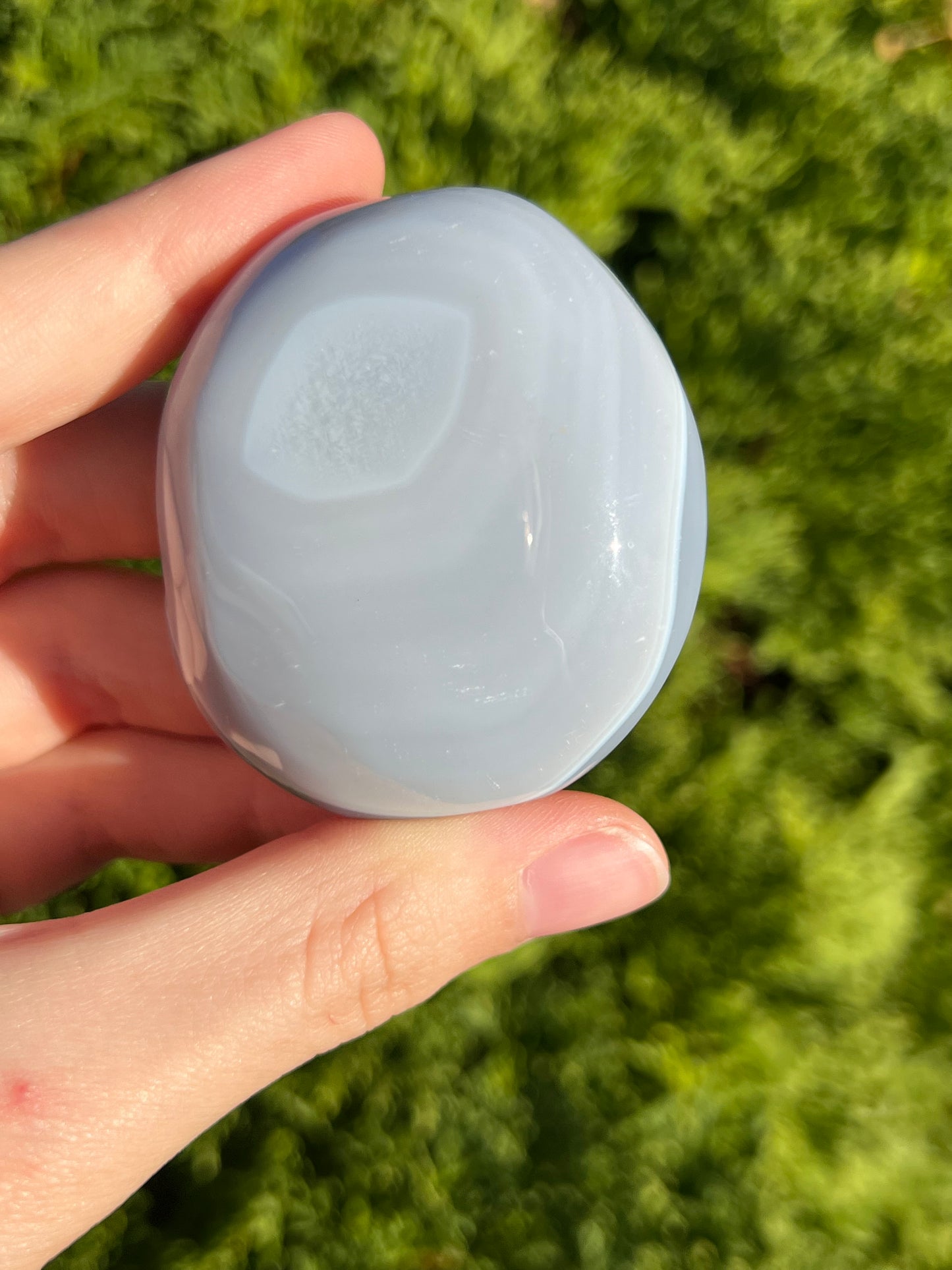 Agate Palm Stone