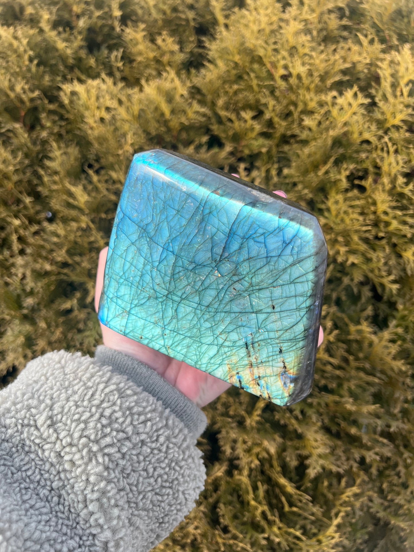 Large Labradorite Freeform