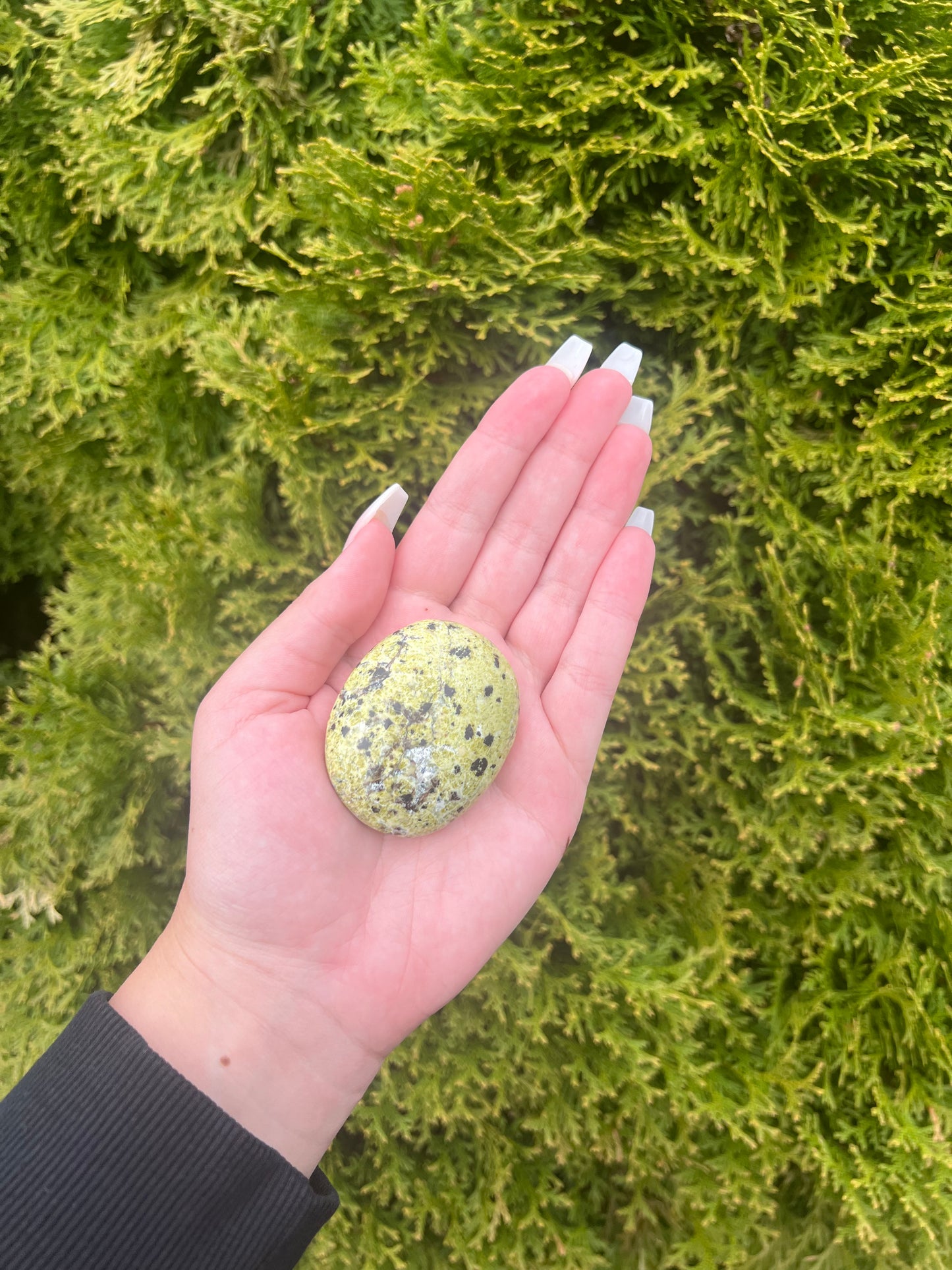 Serpentine Jasper Palm Stone