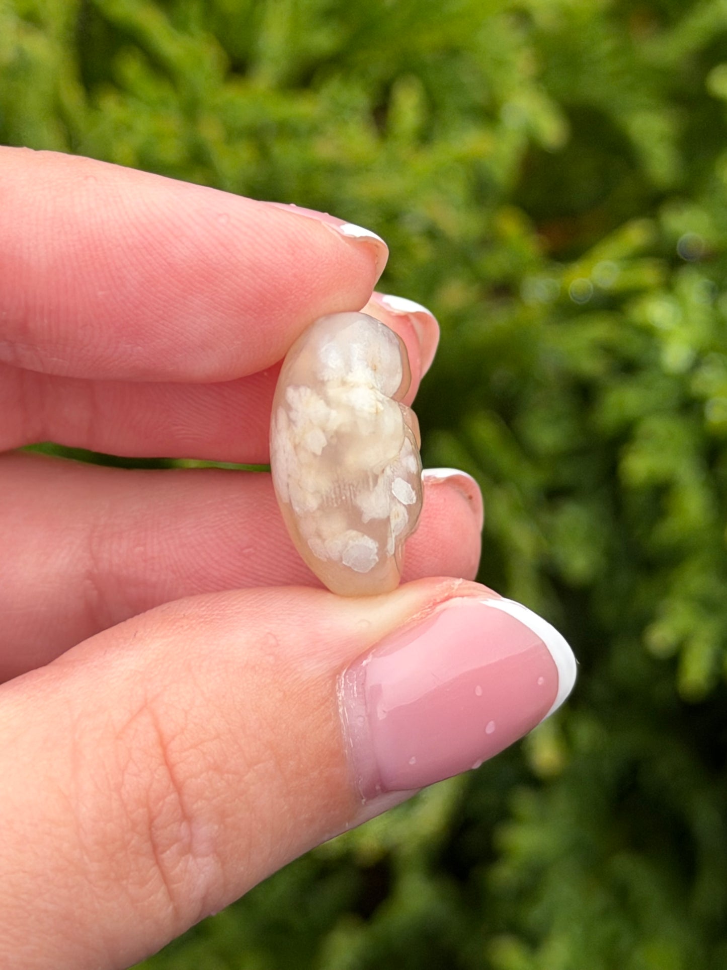 Flower Agate Cat Paw