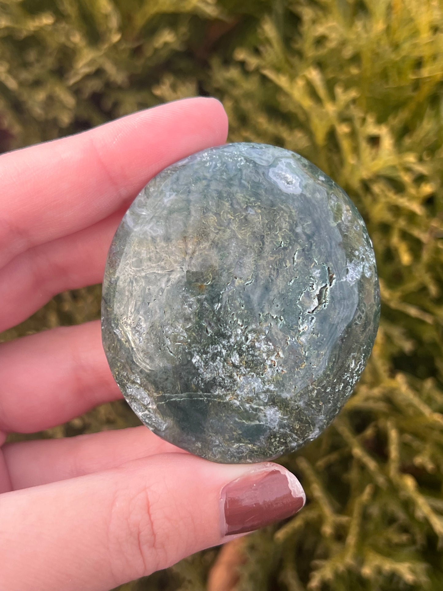 Moss Agate Palm Stone