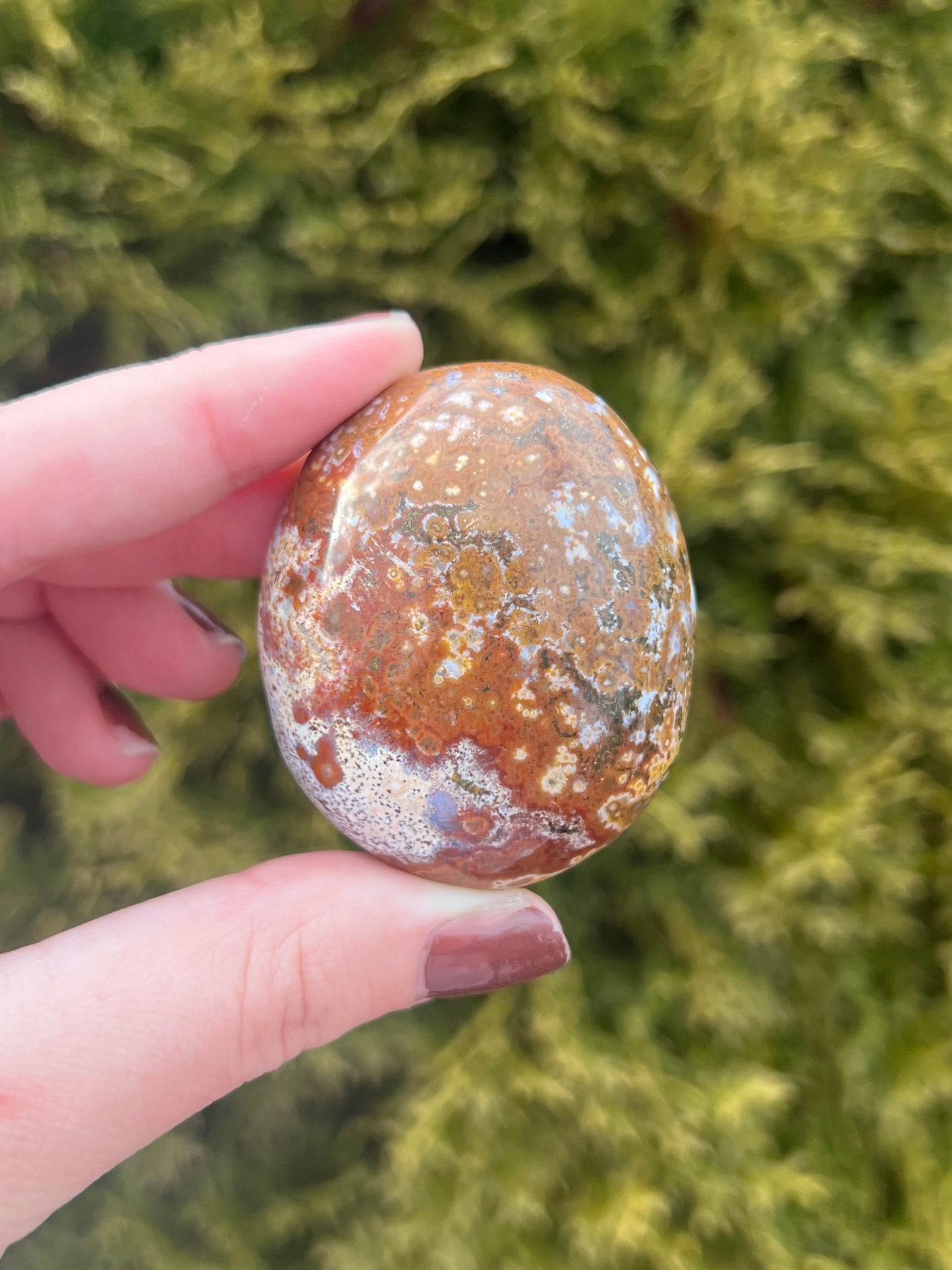 Small Ocean Jasper Palm Stone