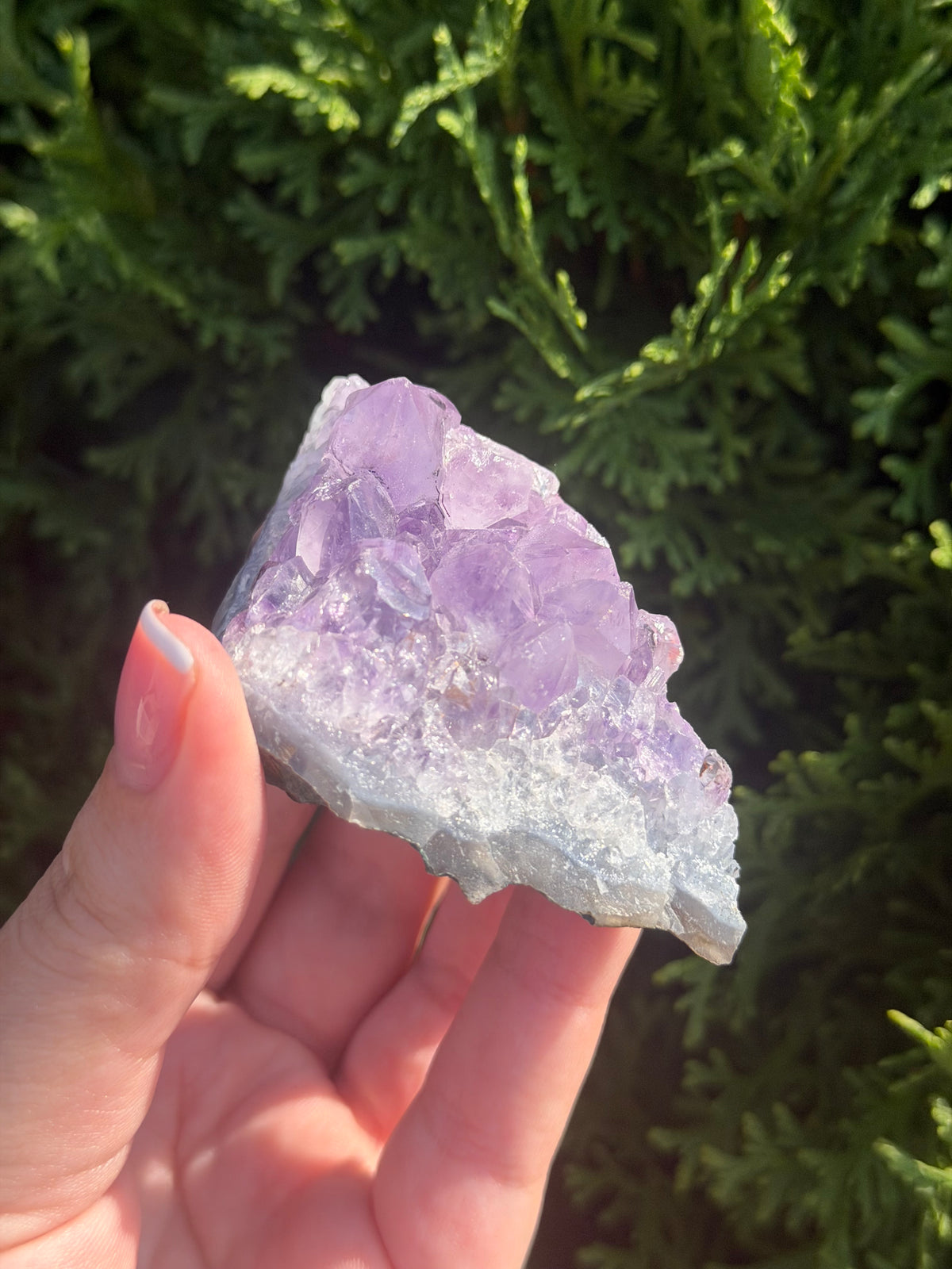 Raw Amethyst Cluster