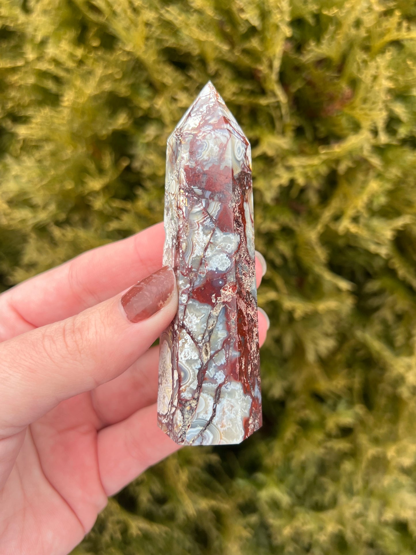 Mexico Lace Agate Point