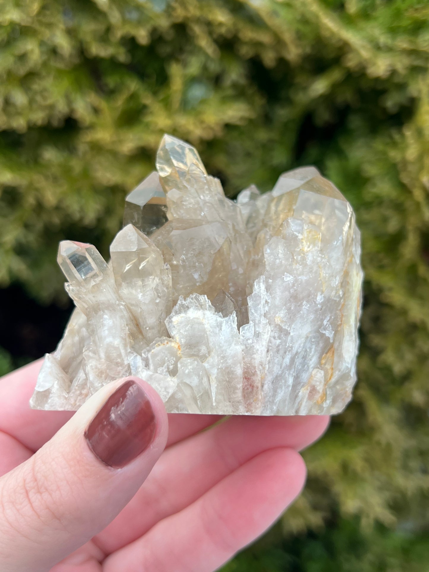 Kundalini Citrine Cluster