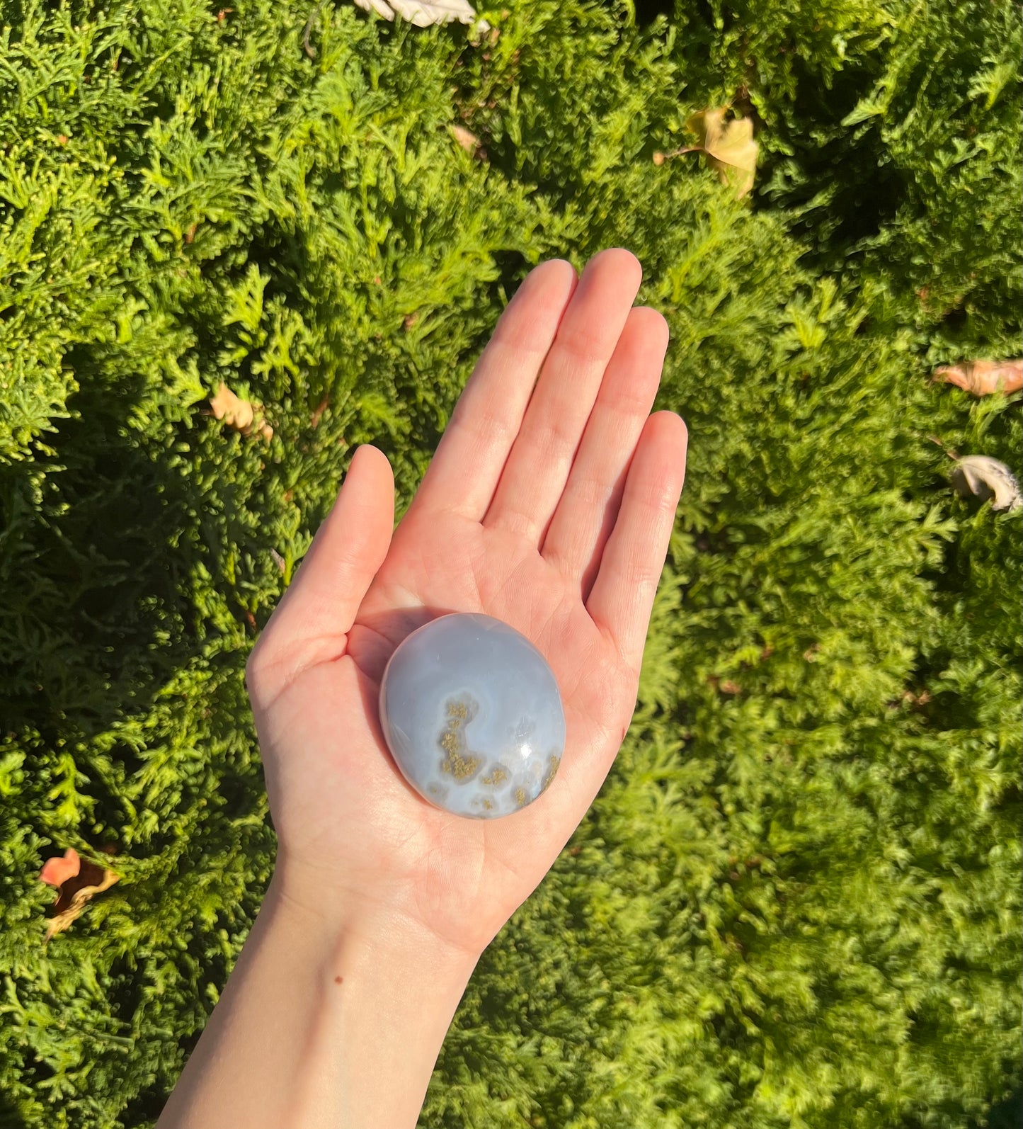 Agate Palm Stone with little bit of moss