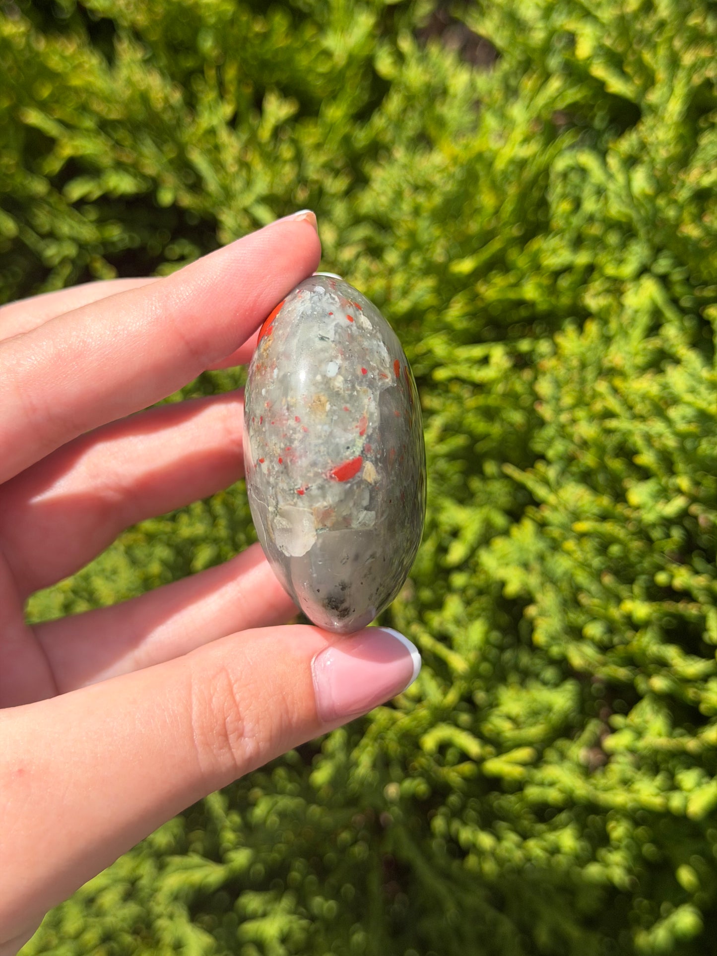 African Bloodstone Palm Stone 1