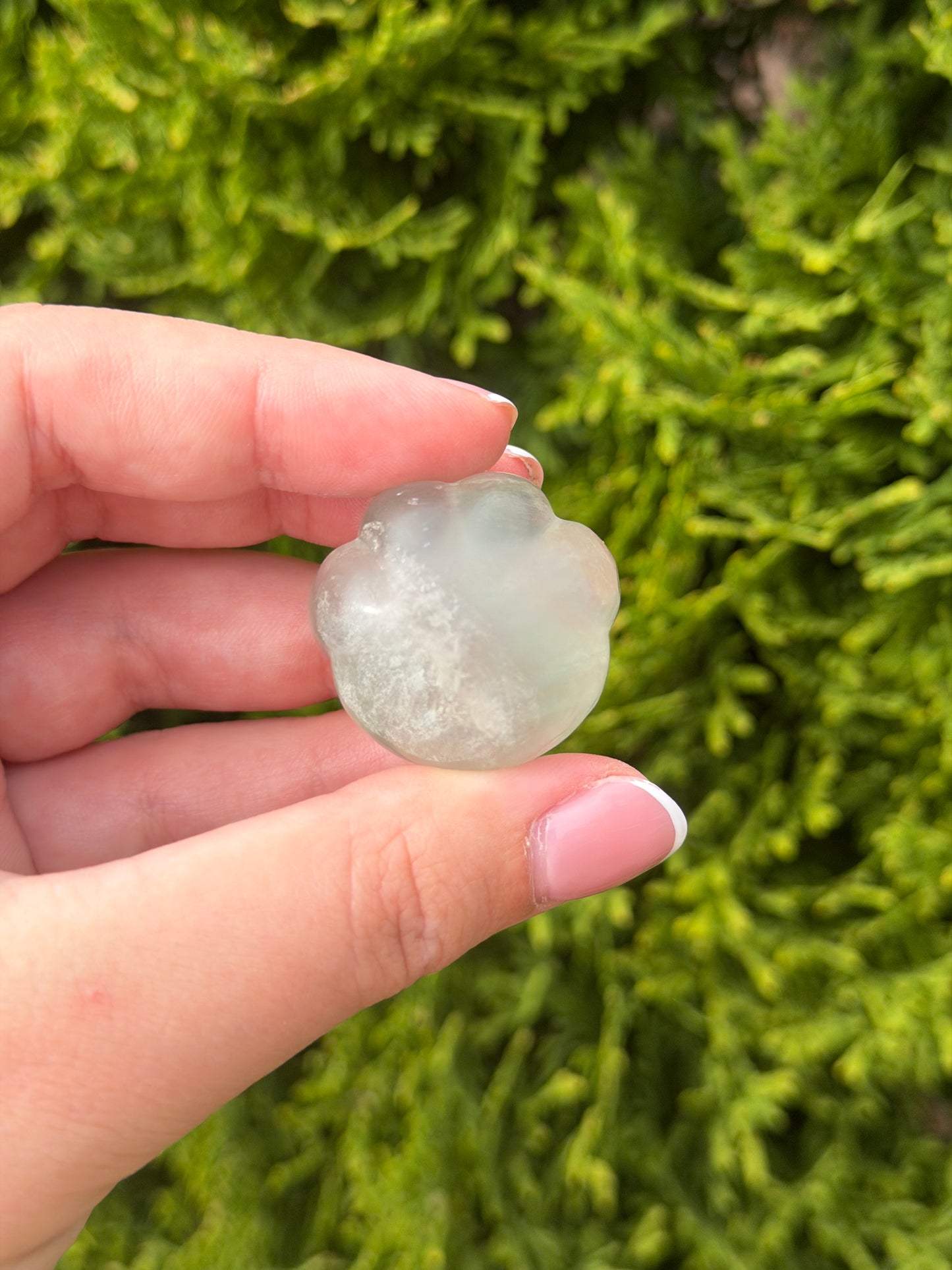 Green Fluorite Cat Paw 2
