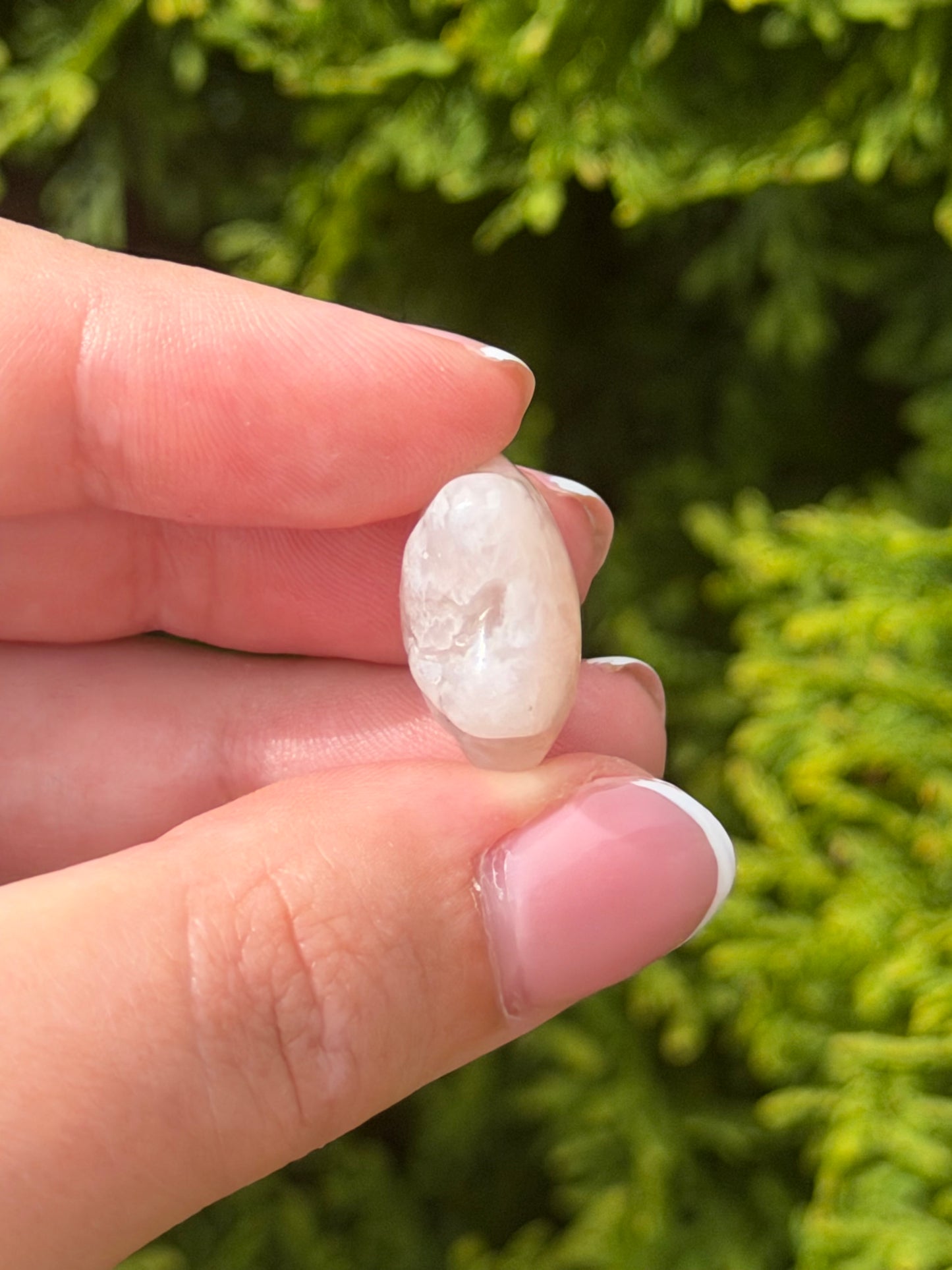Mini Flower Agate Star