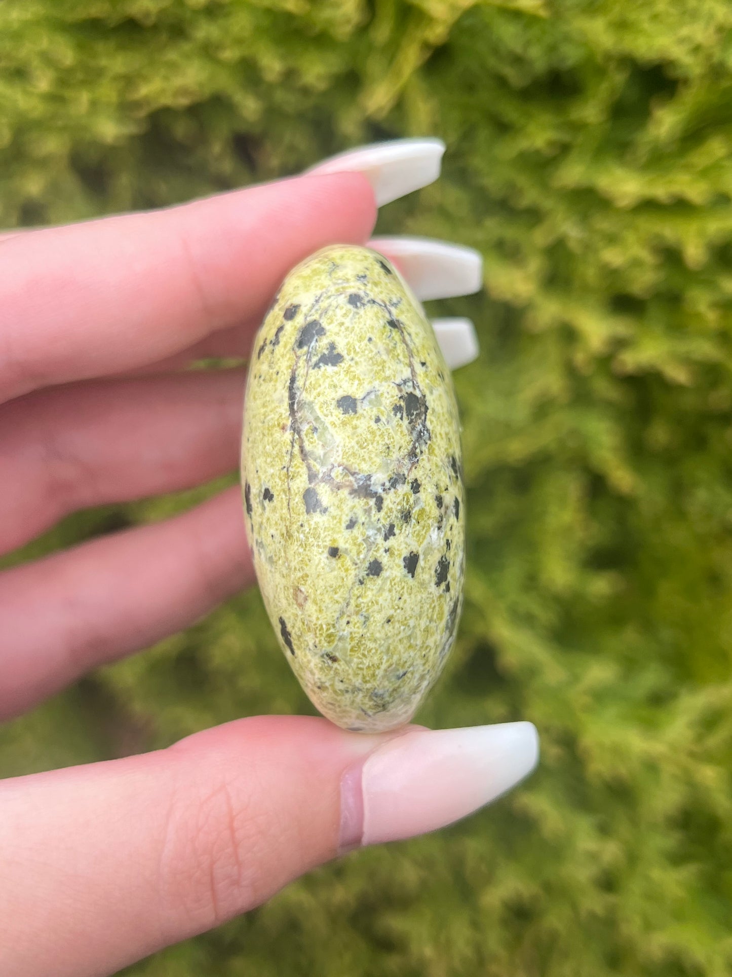Serpentine Jasper Palm Stone