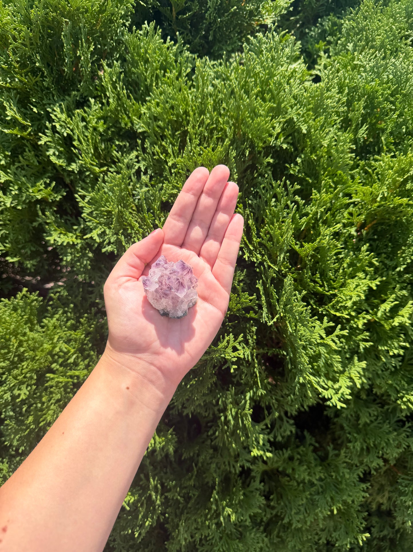 Raw Amethyst Cluster