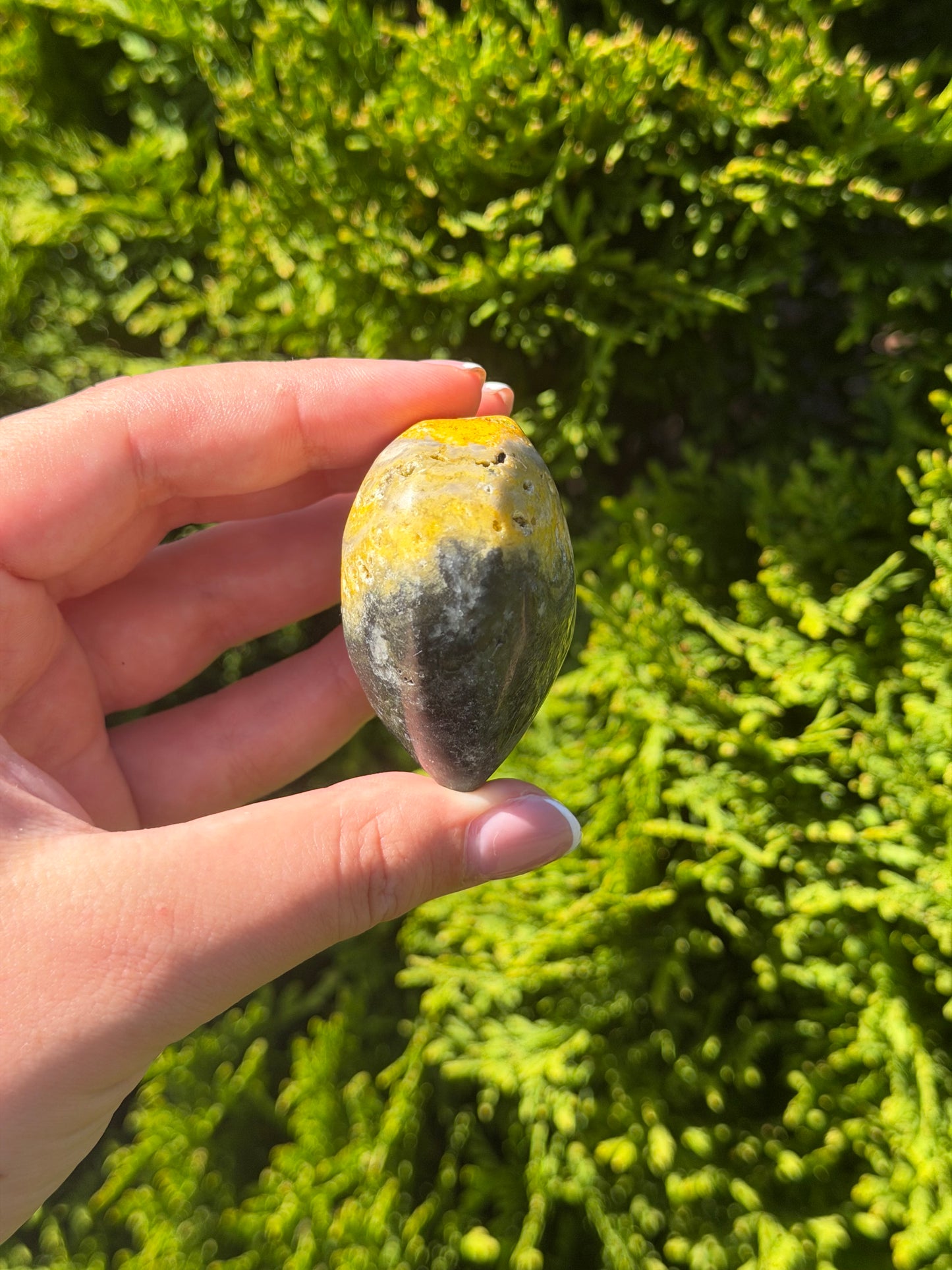 Bumblebee Jasper Heart