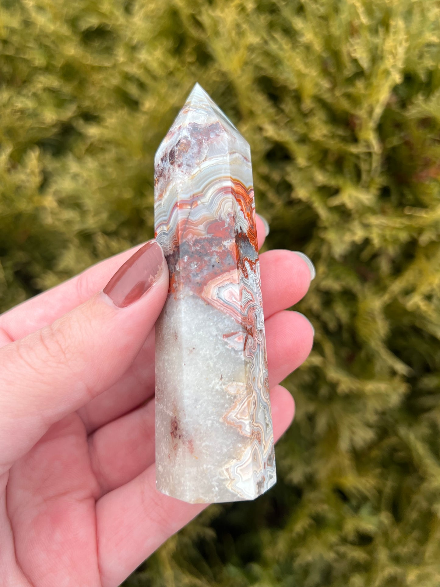 Mexico Lace Agate Point