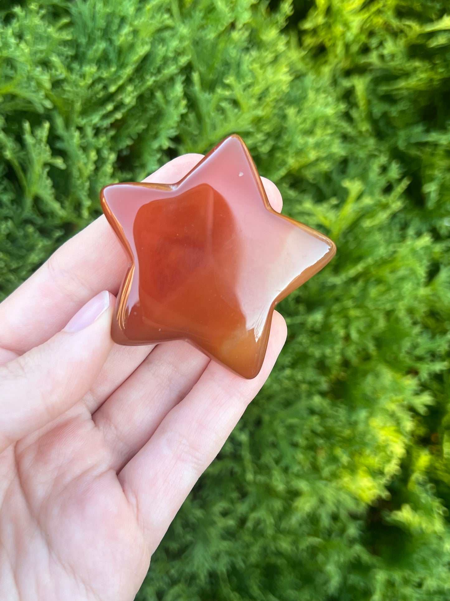 Carnelian Druzy Star