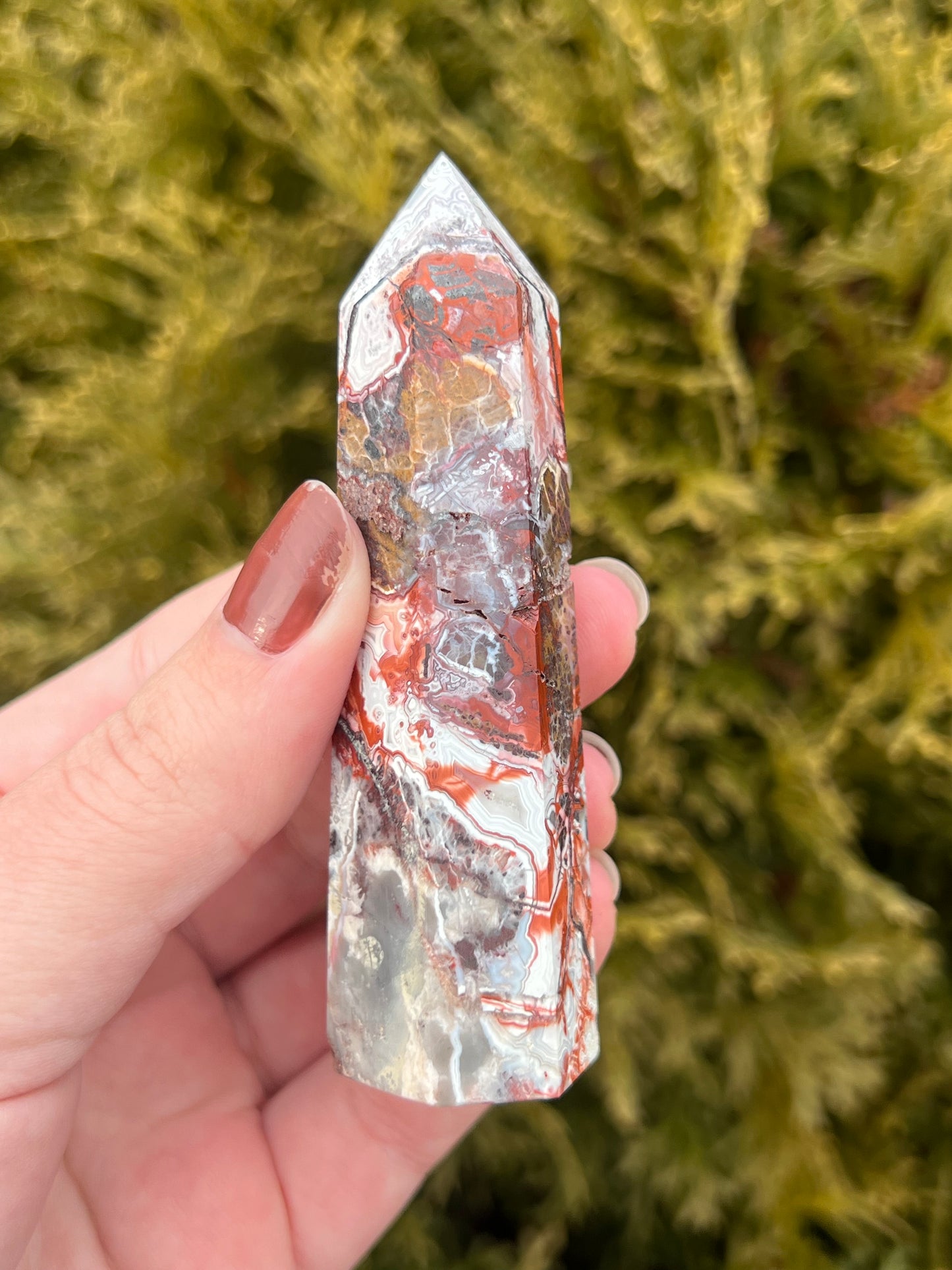 Mexico Lace Agate Point