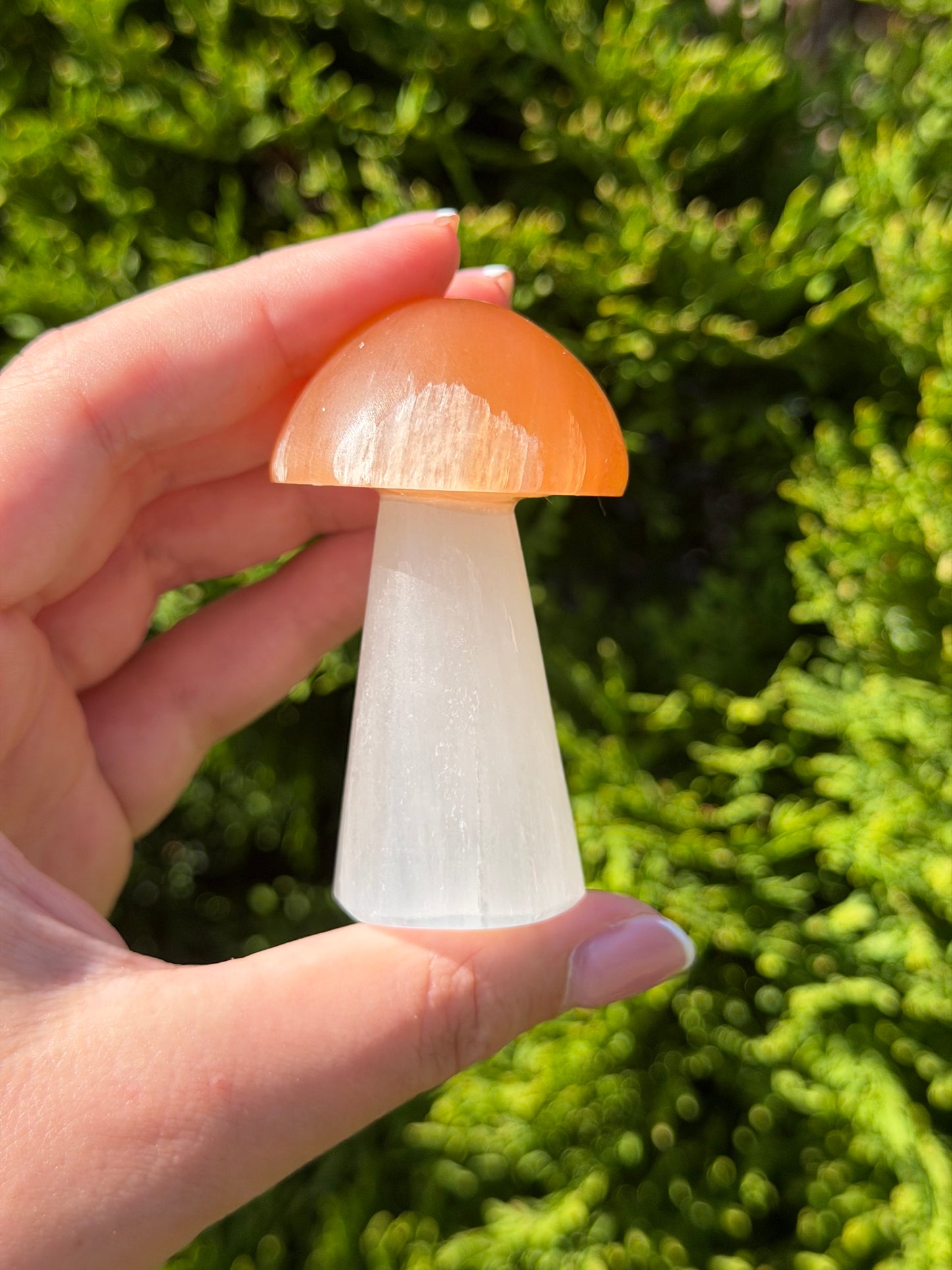 Large Selenite Mushroom