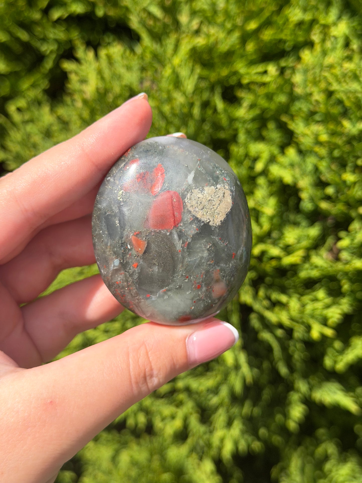 African Bloodstone Palm Stone 2