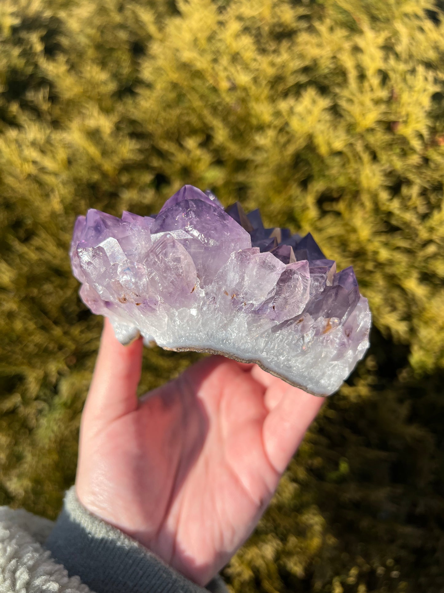 Large Amethyst Cluster