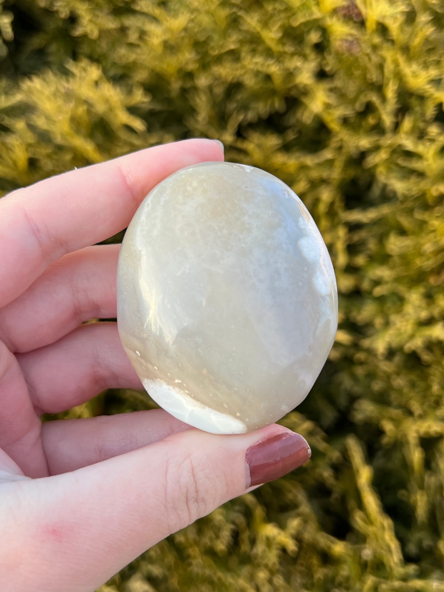 Flower Agate Palm Stone