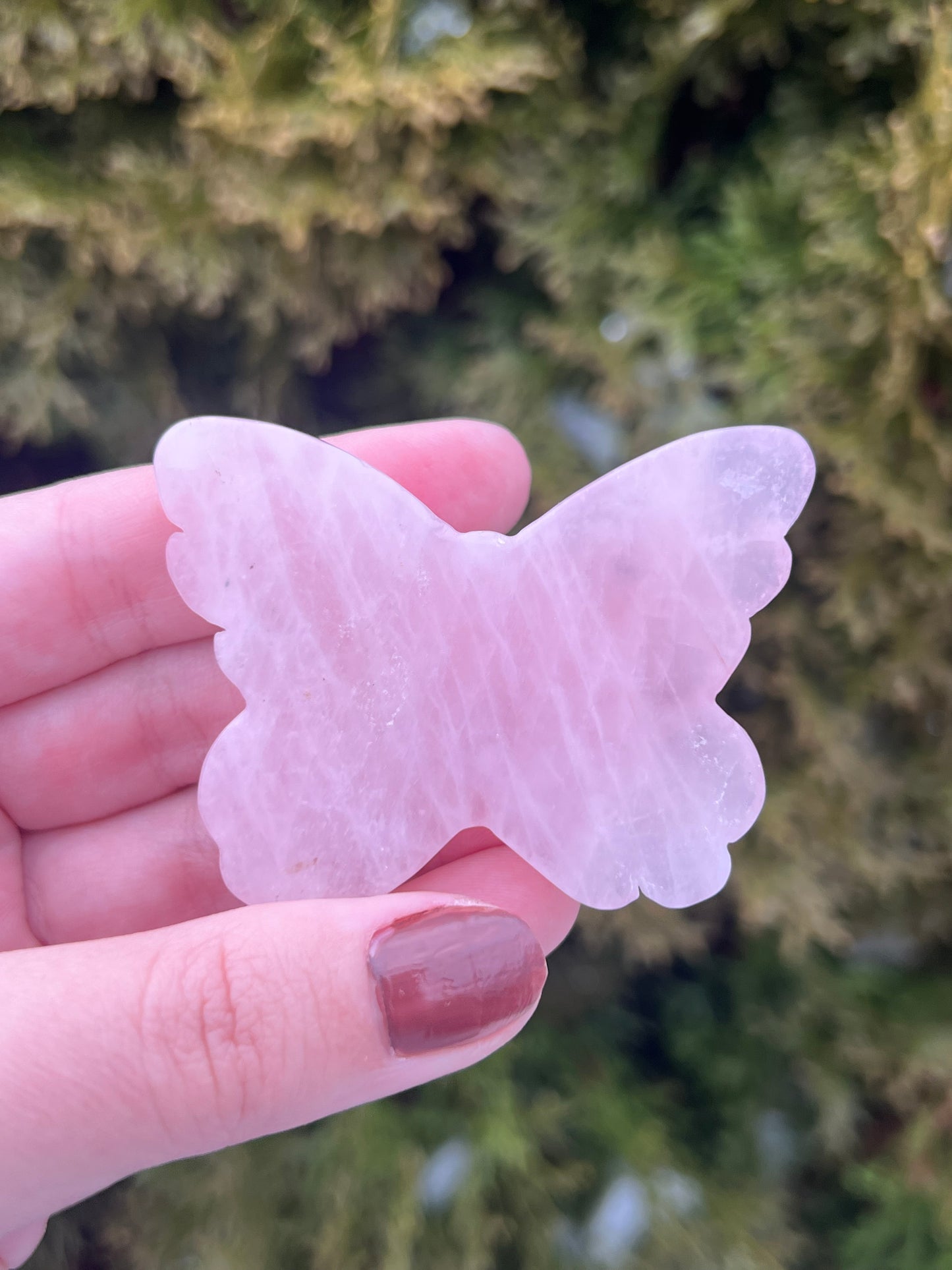 Rose Quartz Butterfly