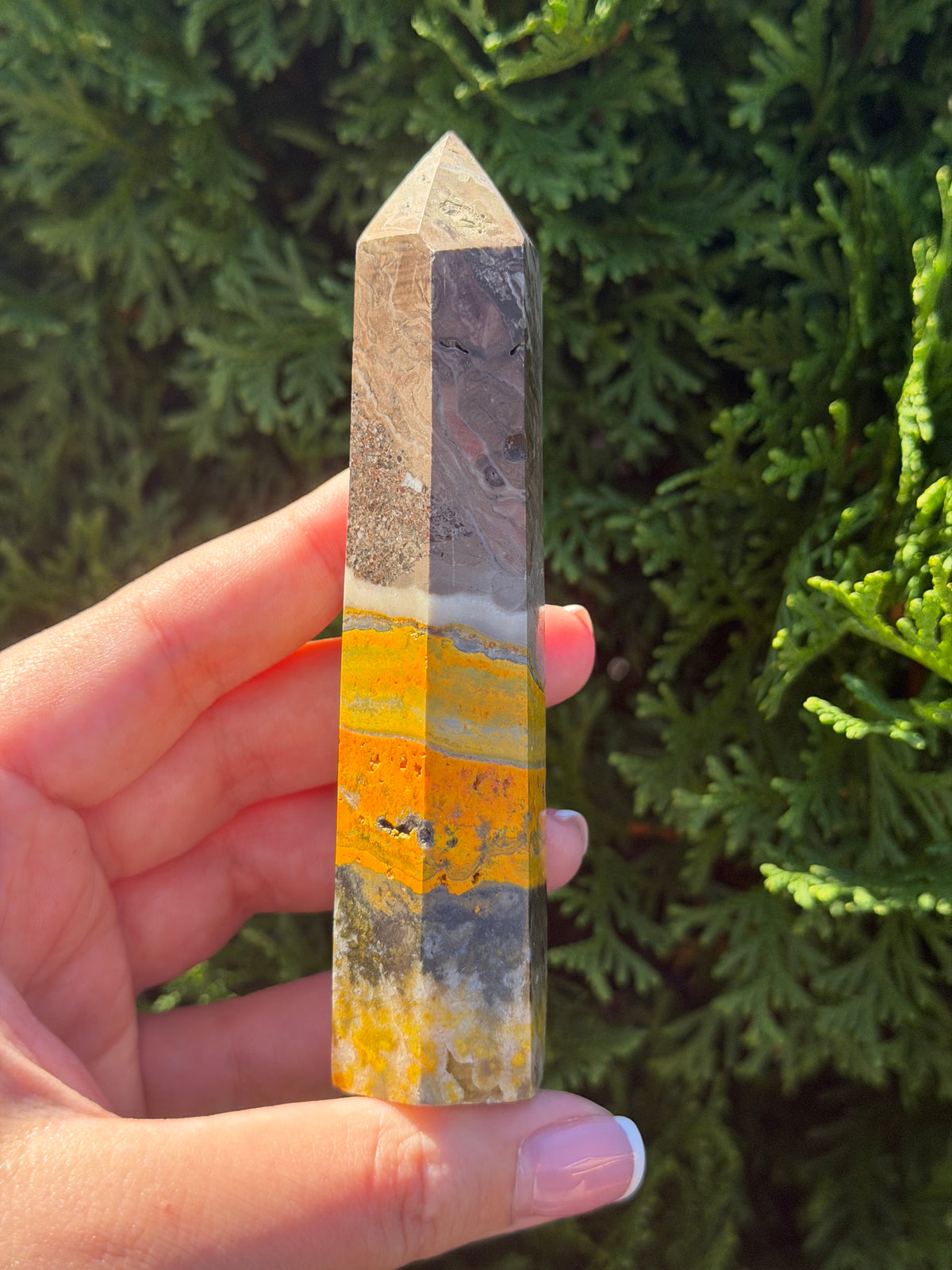 Bumblebee Jasper Point #2