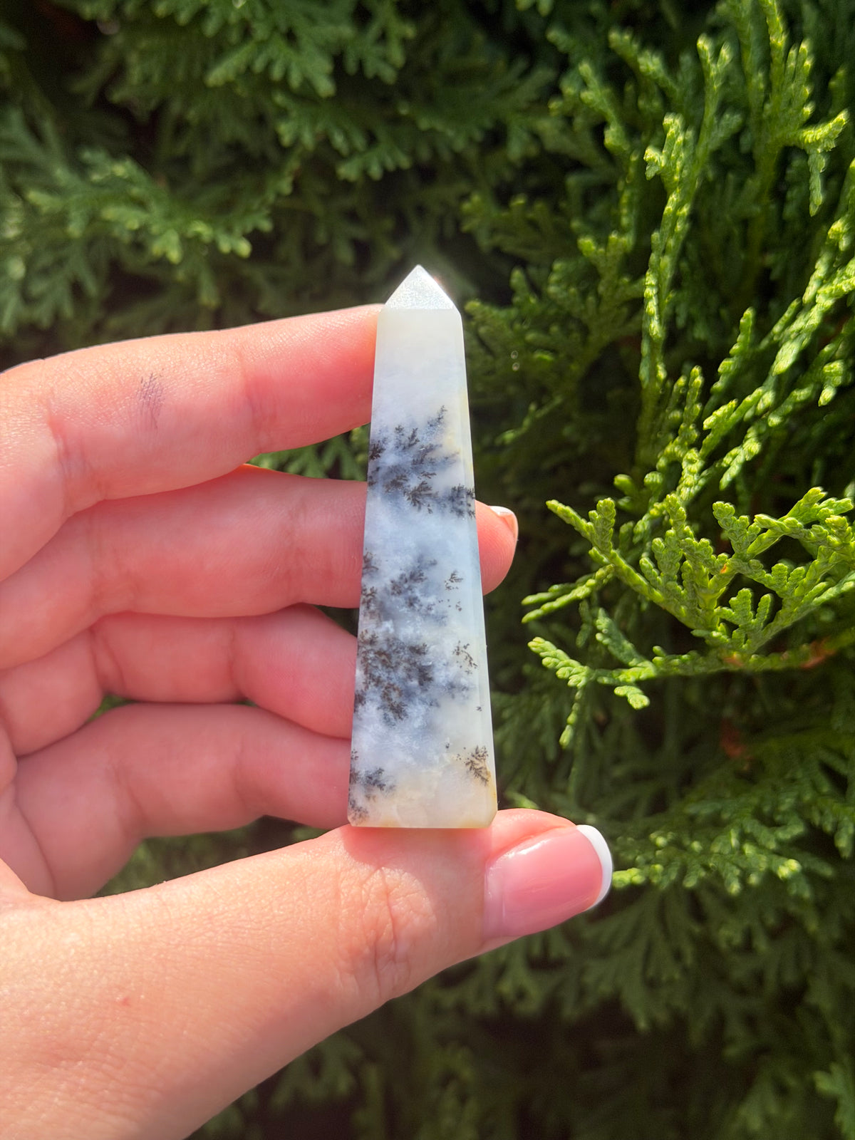 Mini Dendritic Agate Obelisk