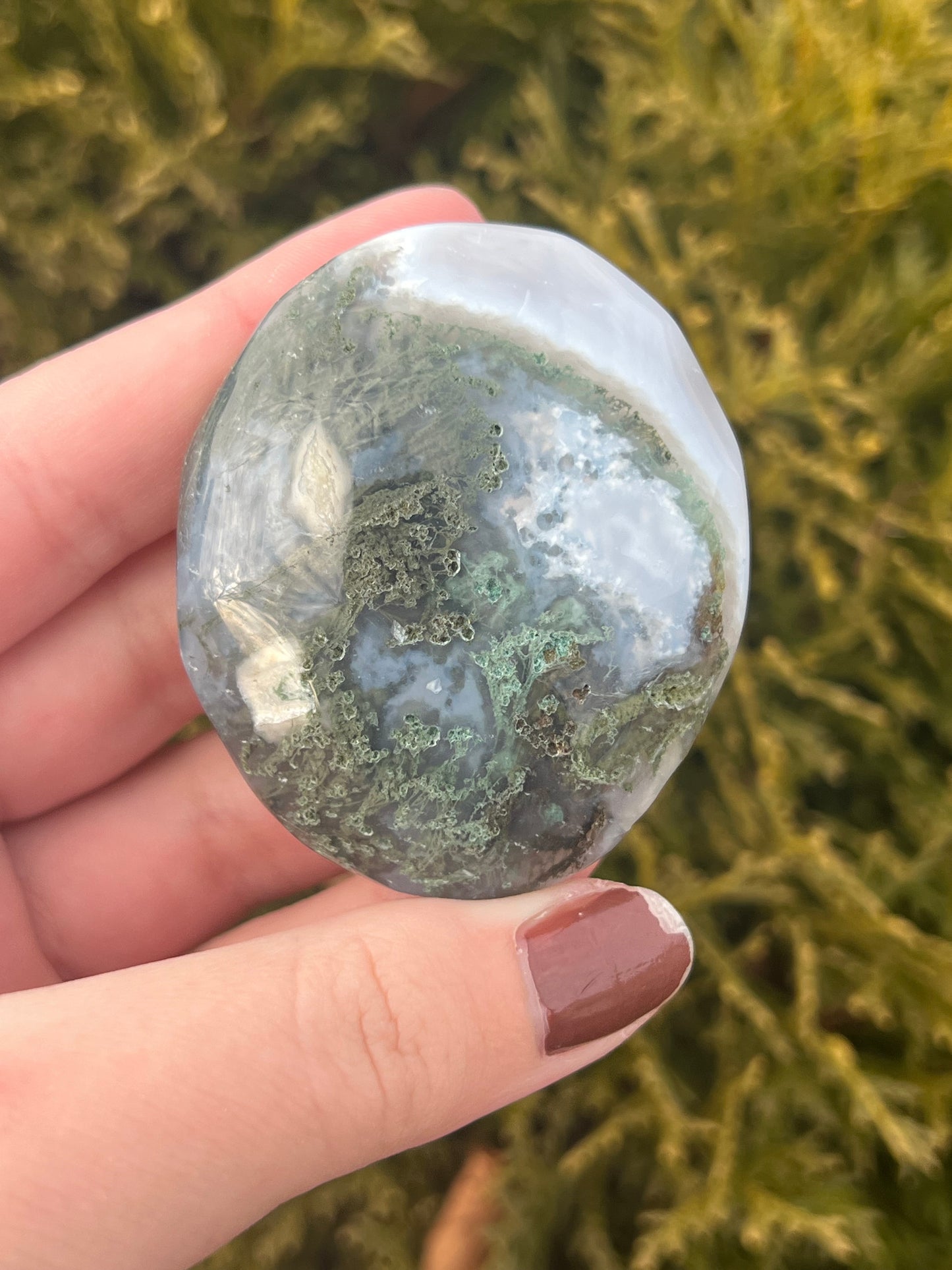 Moss Agate Palm Stone