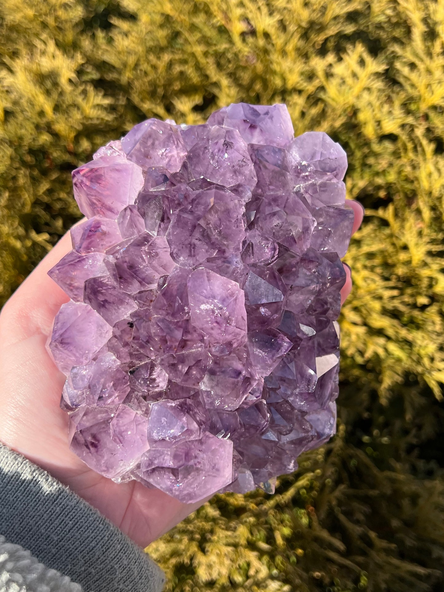 Large Amethyst Cluster