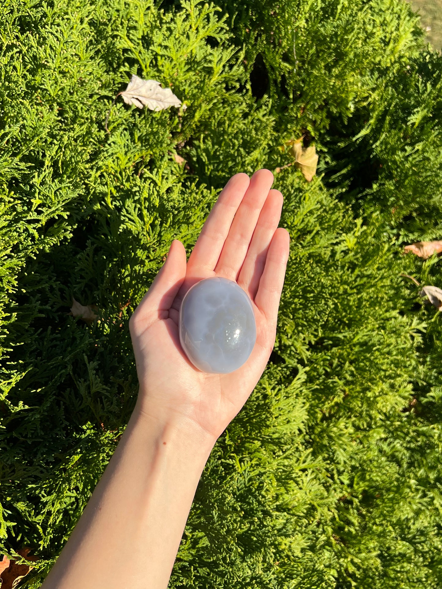 Agate Palm Stone