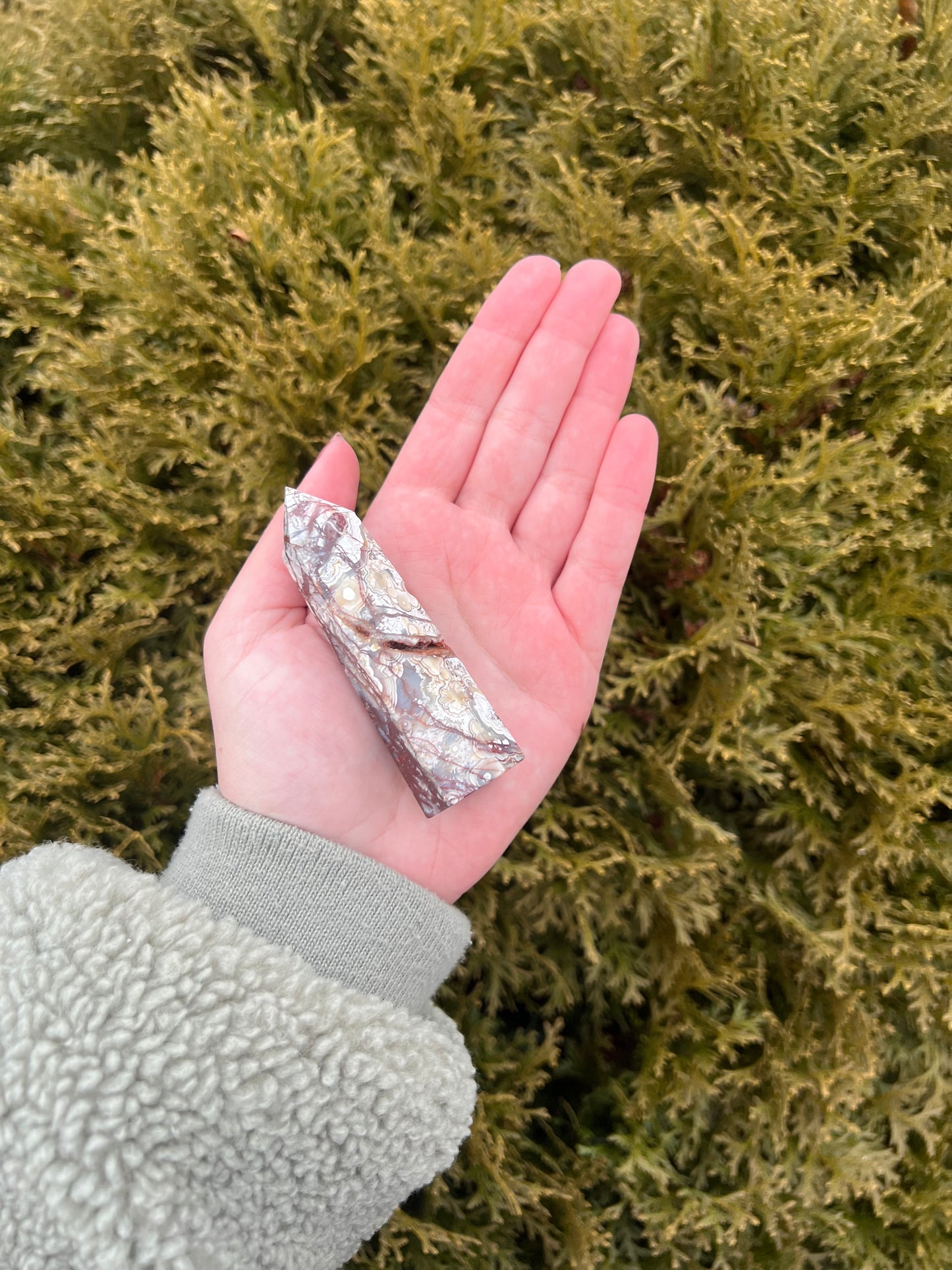 Mexico Lace Agate Point