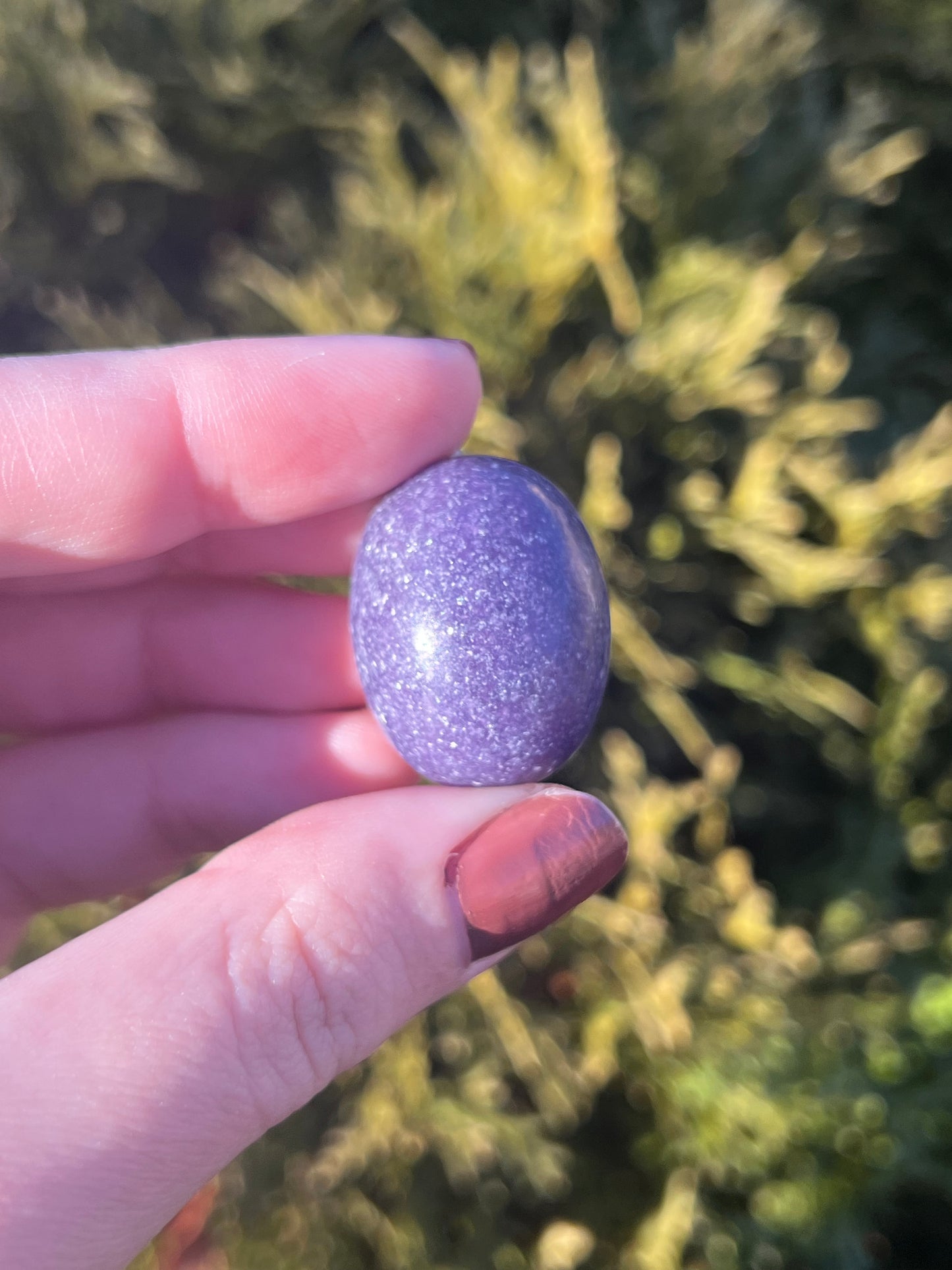 Lepidolite Tumbled Stones