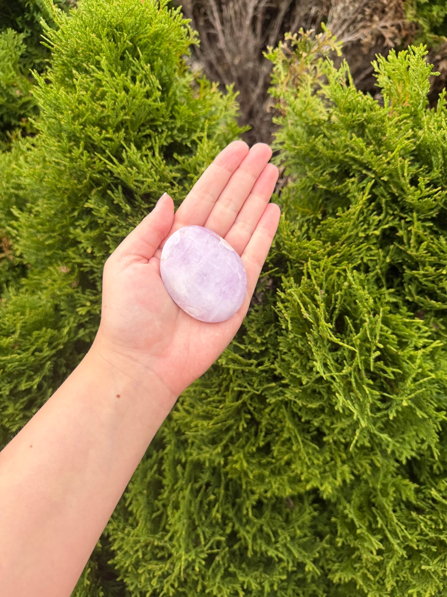Kunzite Palm Stone