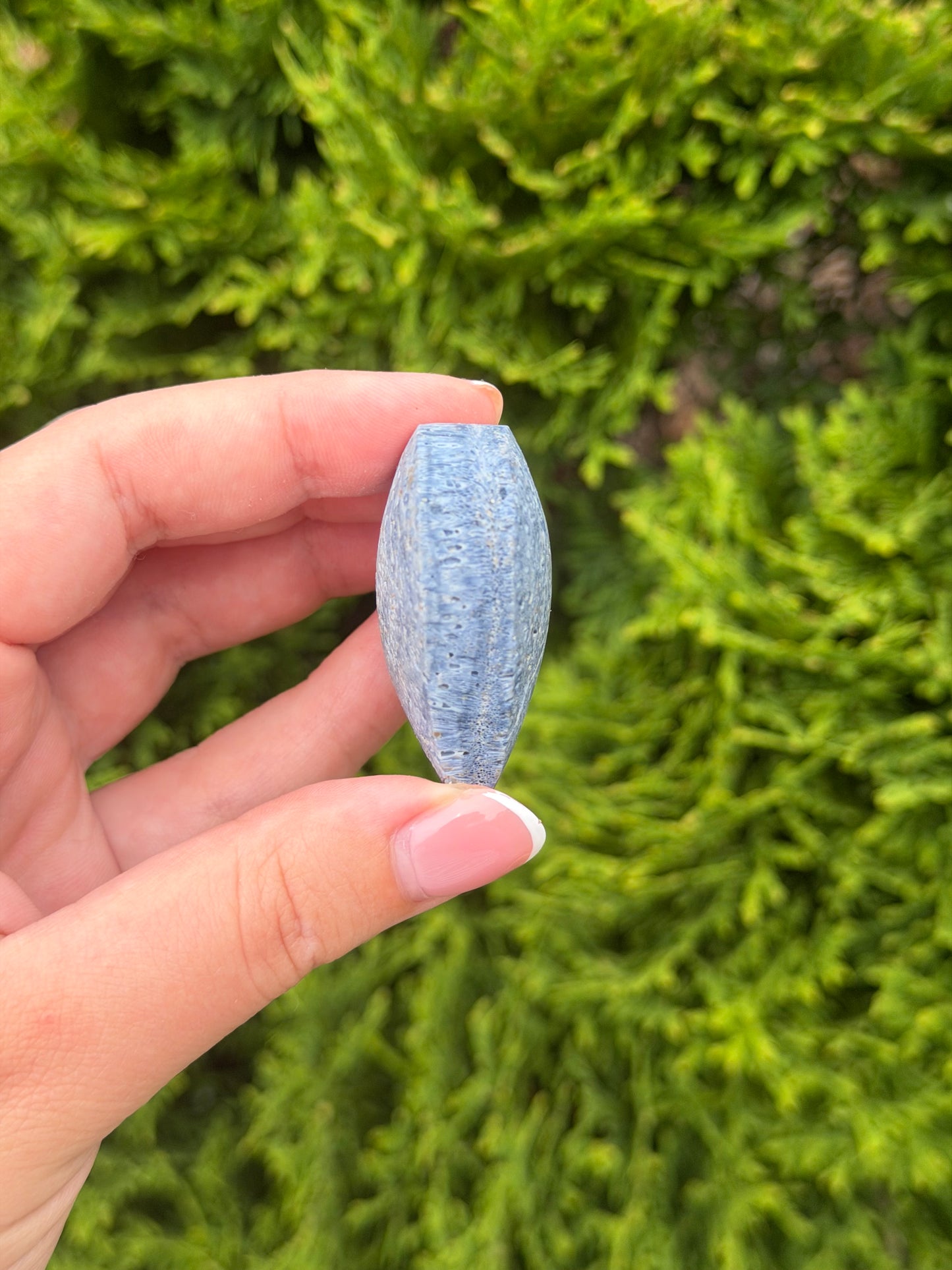Blue Coral Jasper Heart