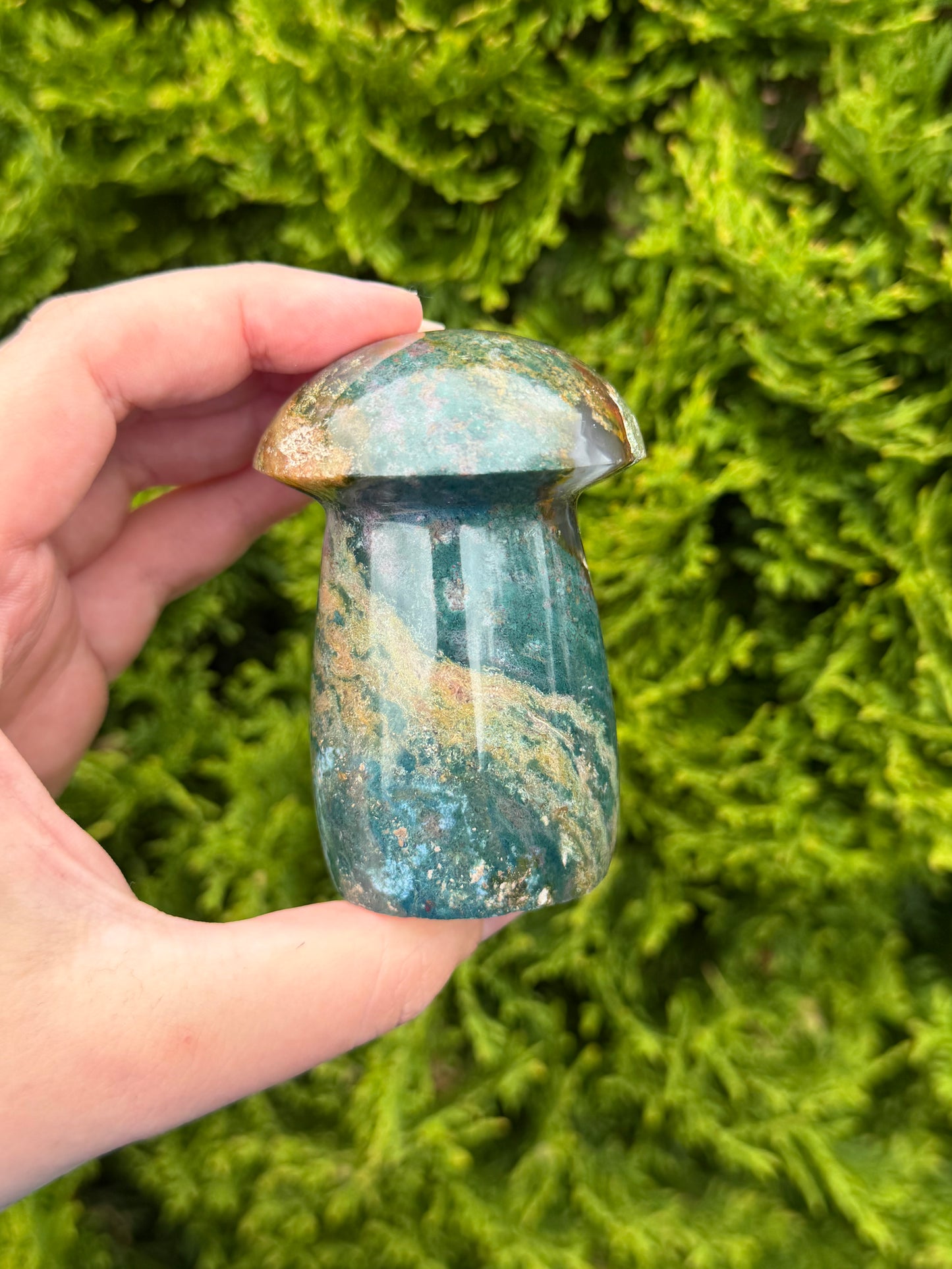 Ocean Jasper Mushroom