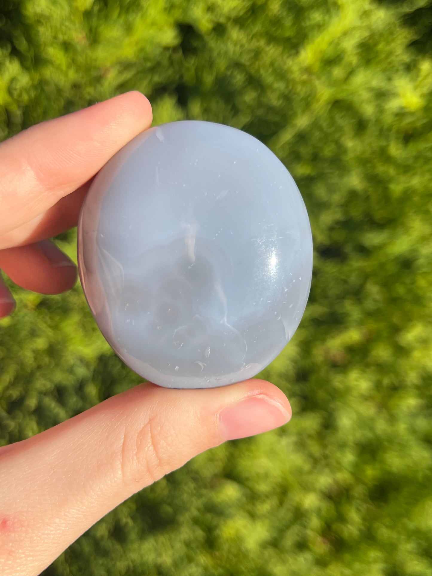 Agate Palm Stone with little bit of moss