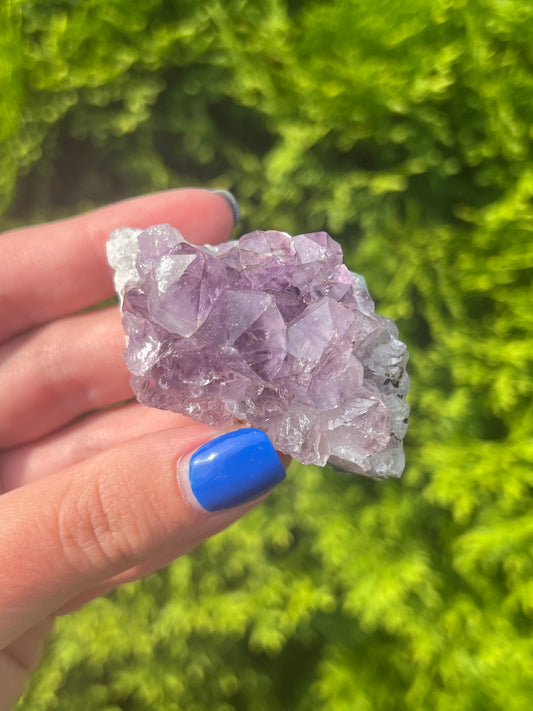Amethyst Cluster