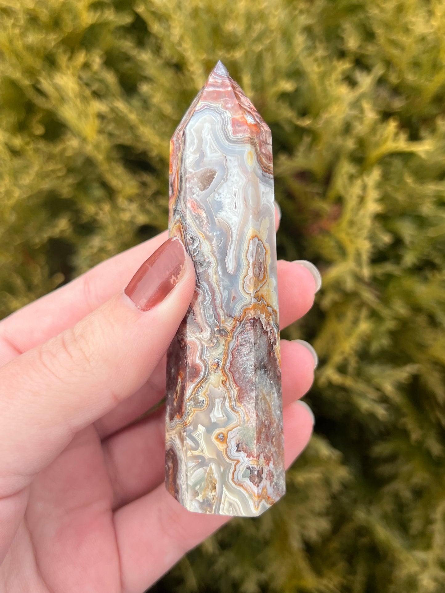 Mexico Lace Agate Point