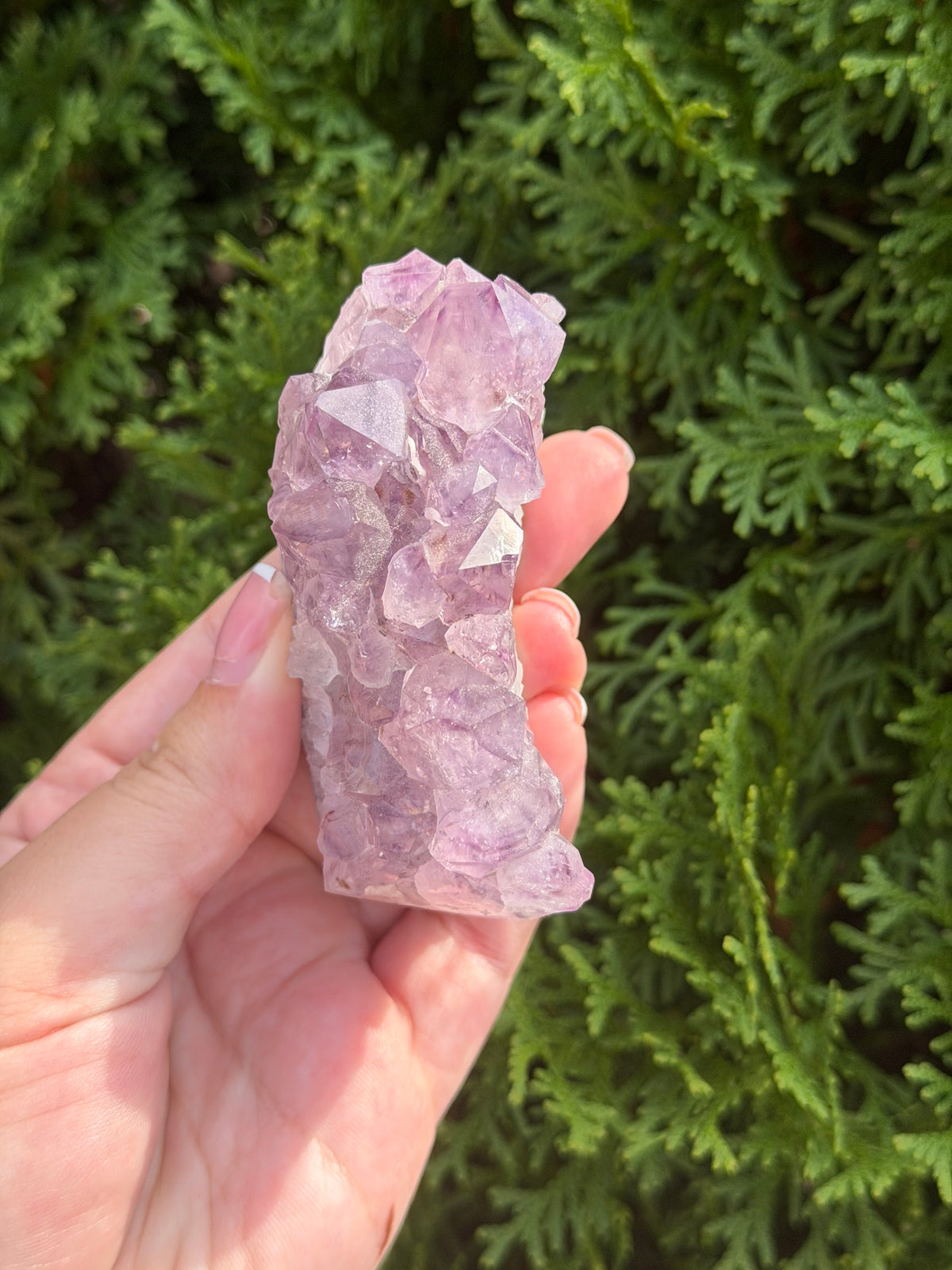 Amethyst Cluster